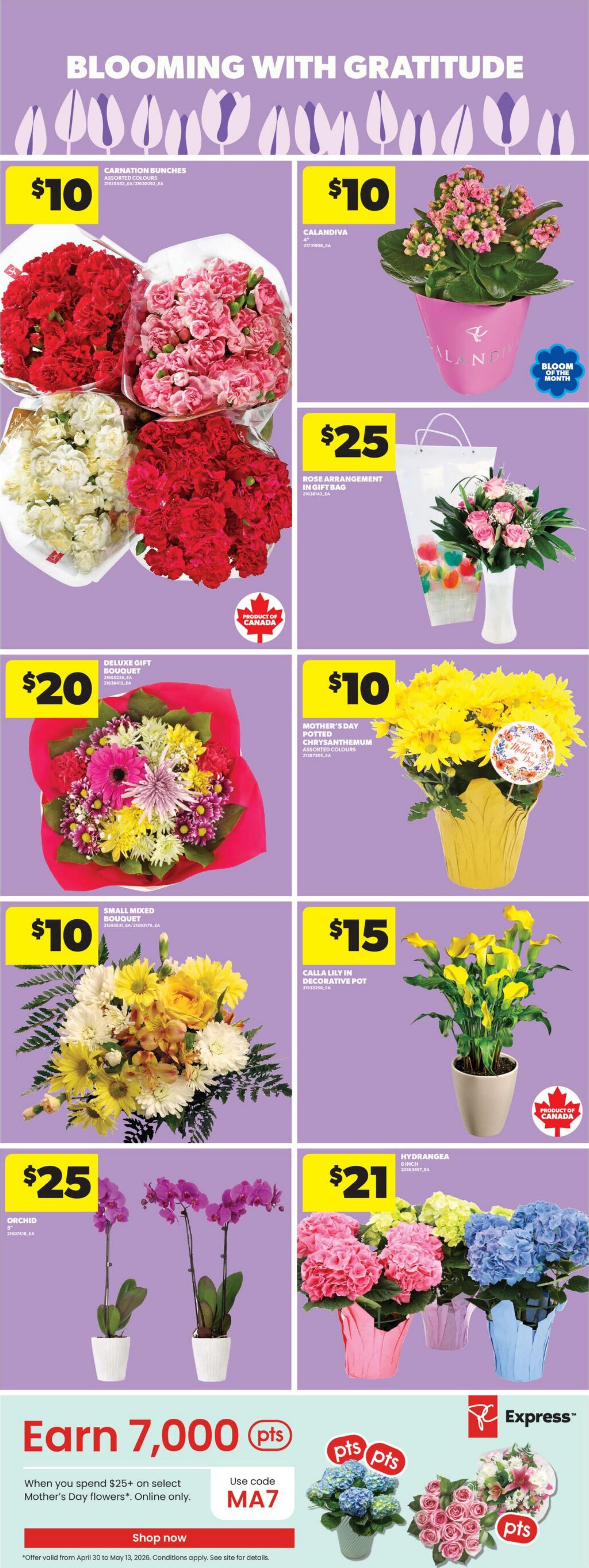 Flyer image Page 10