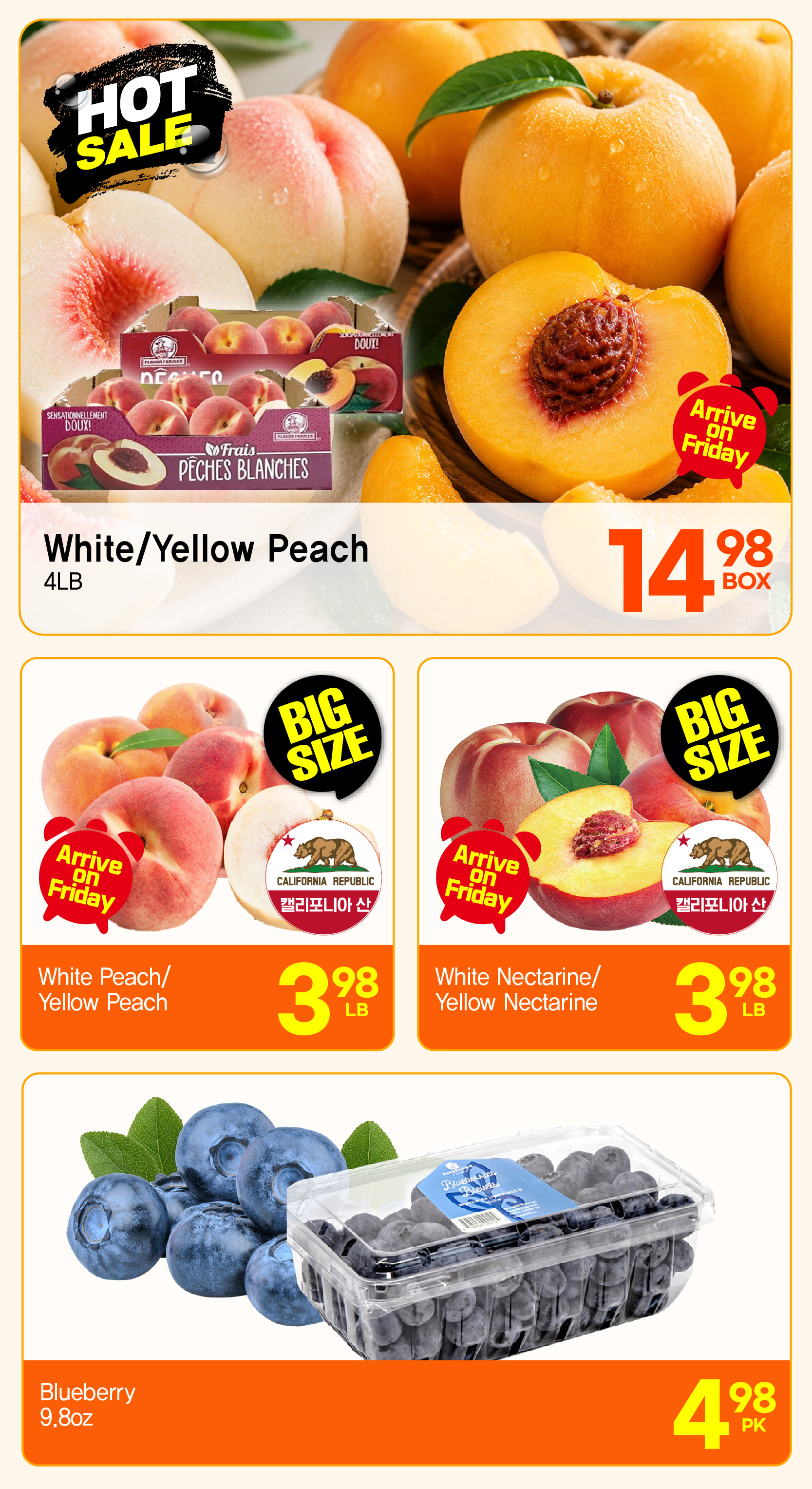 Flyer image Page 19