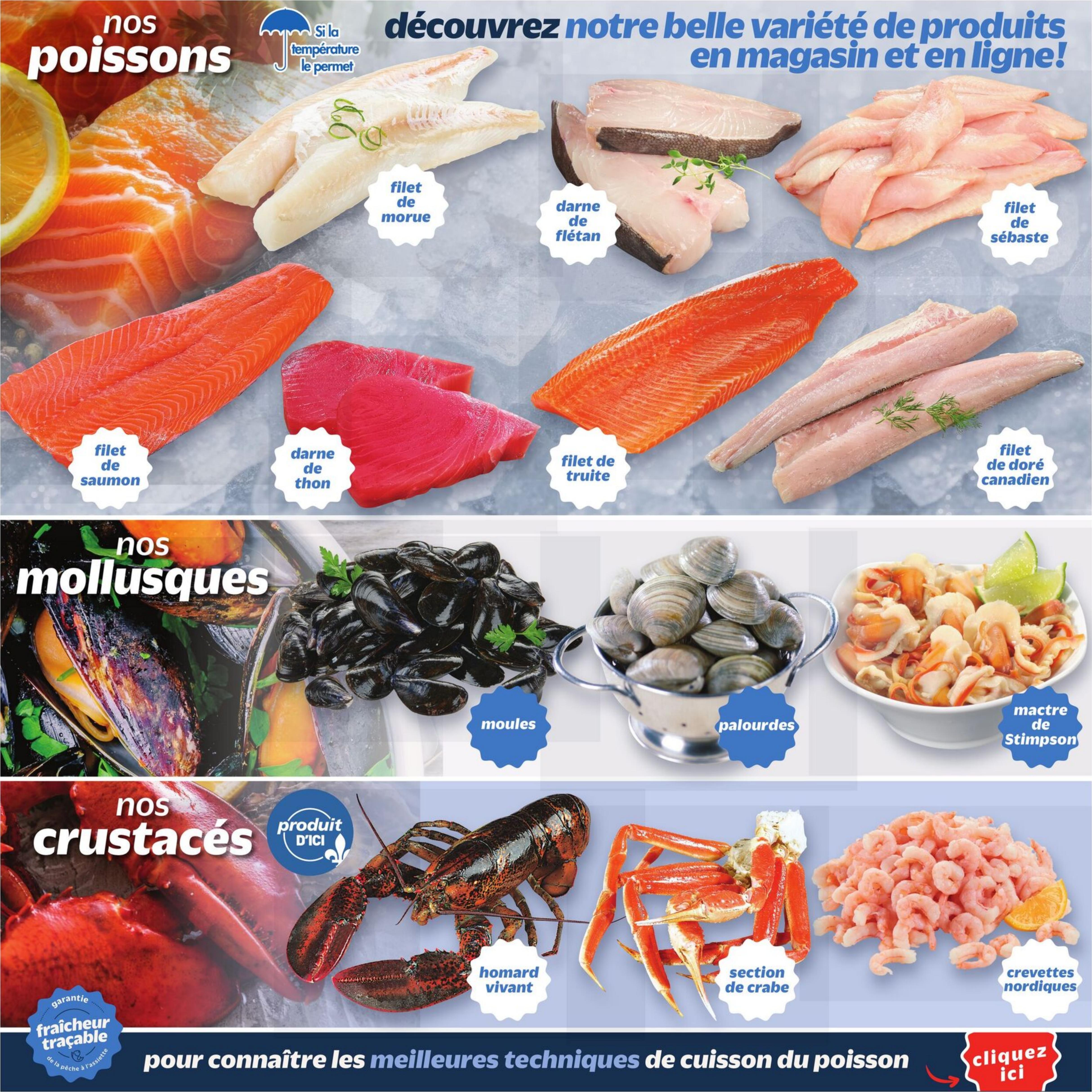 Flyer image Page 3