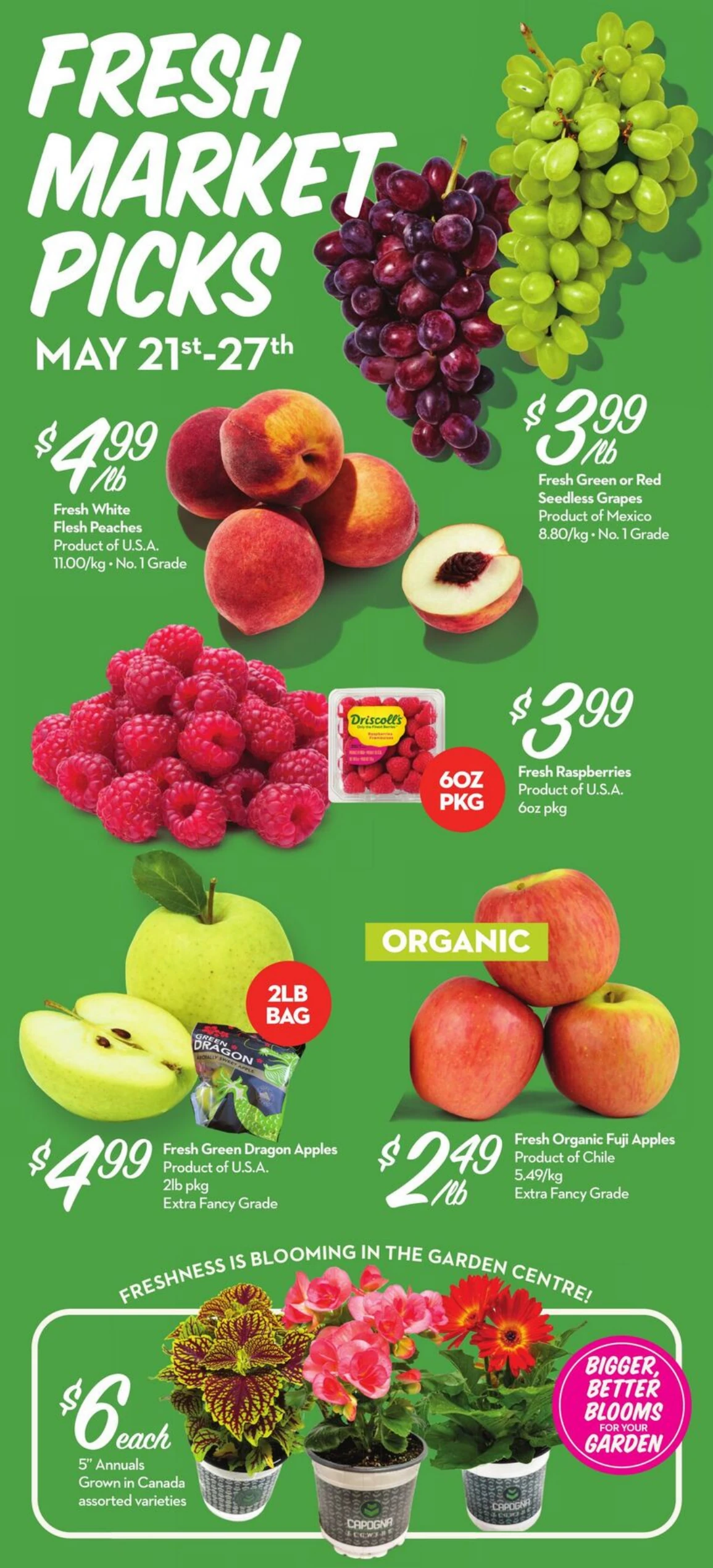 Flyer image Page 2