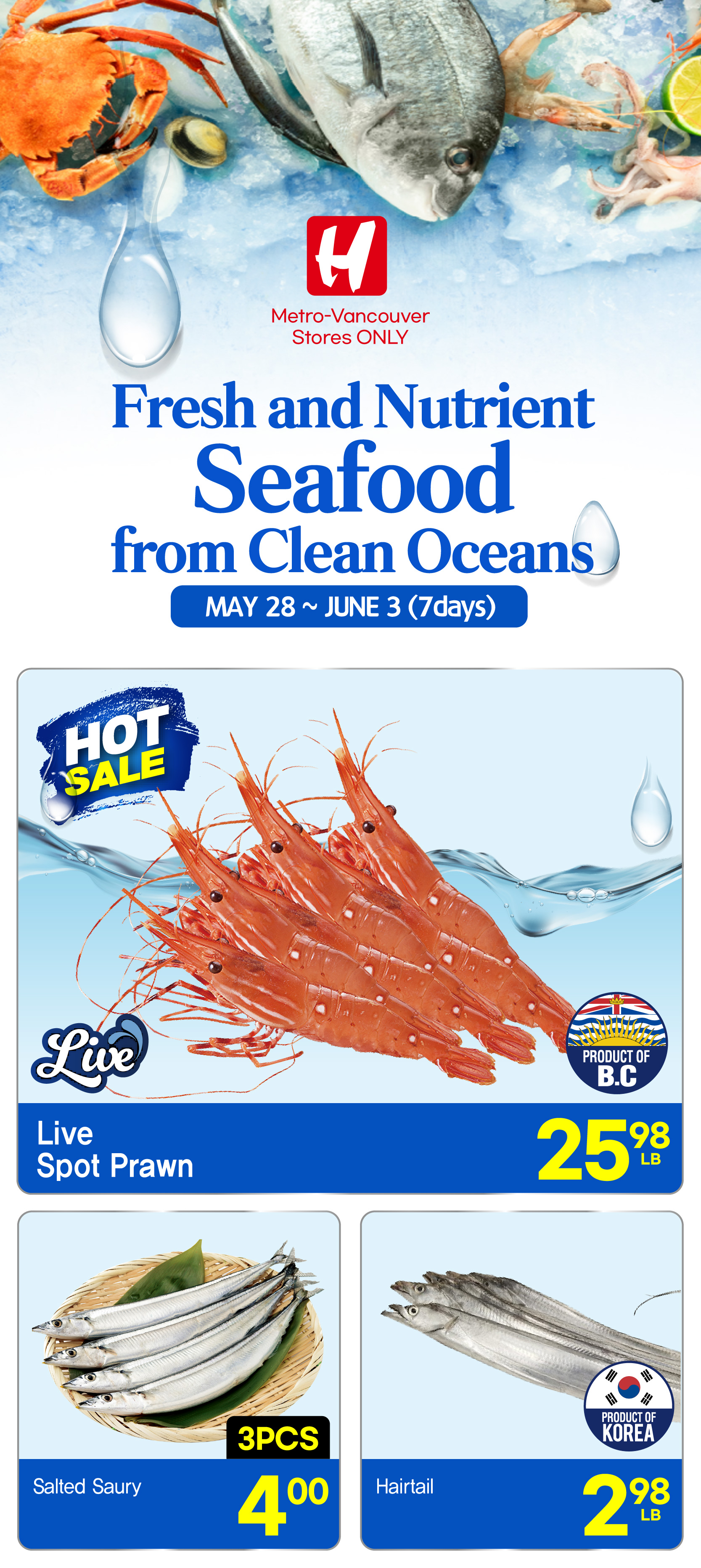 Flyer image Page 13