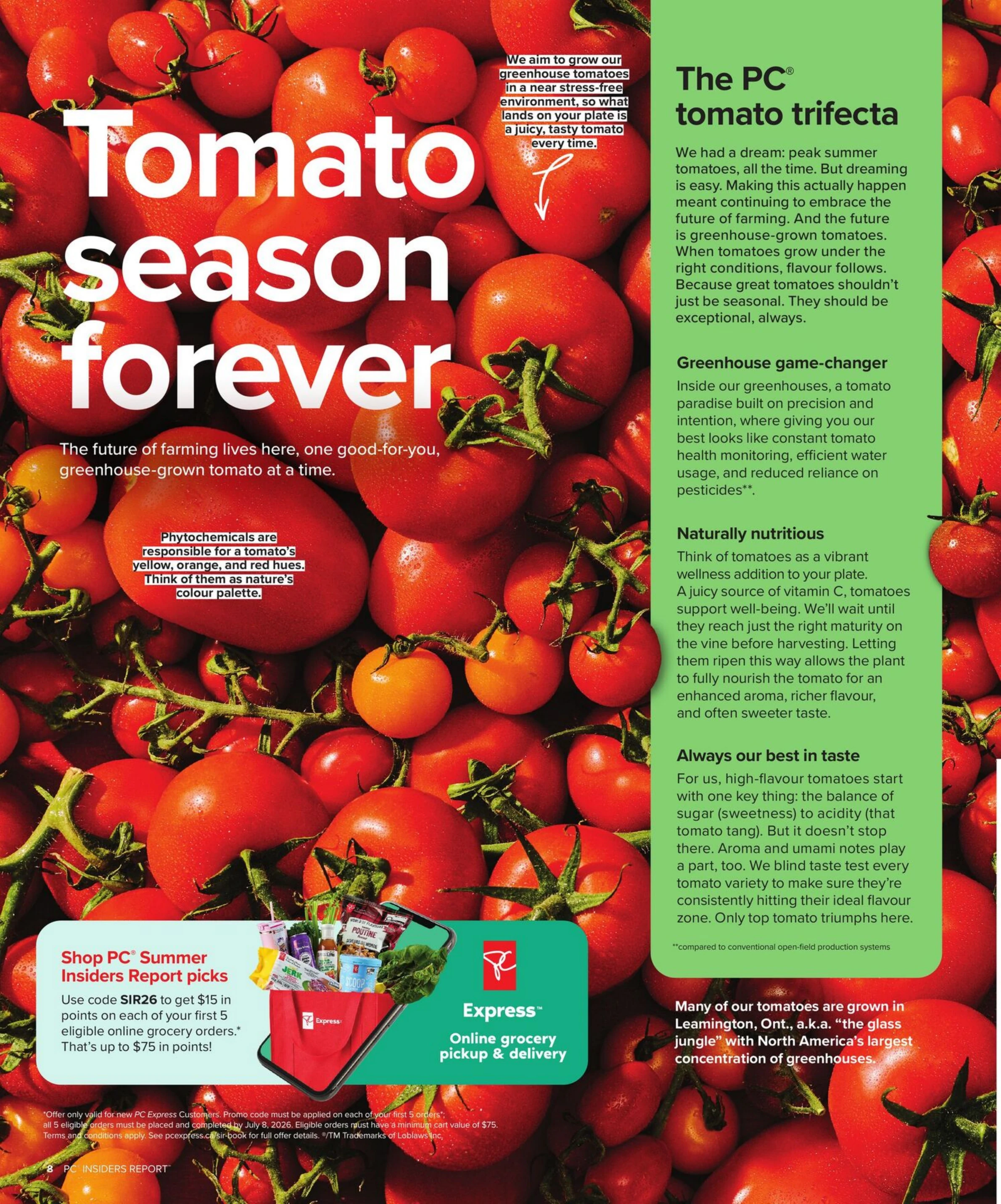 Flyer image Page 8