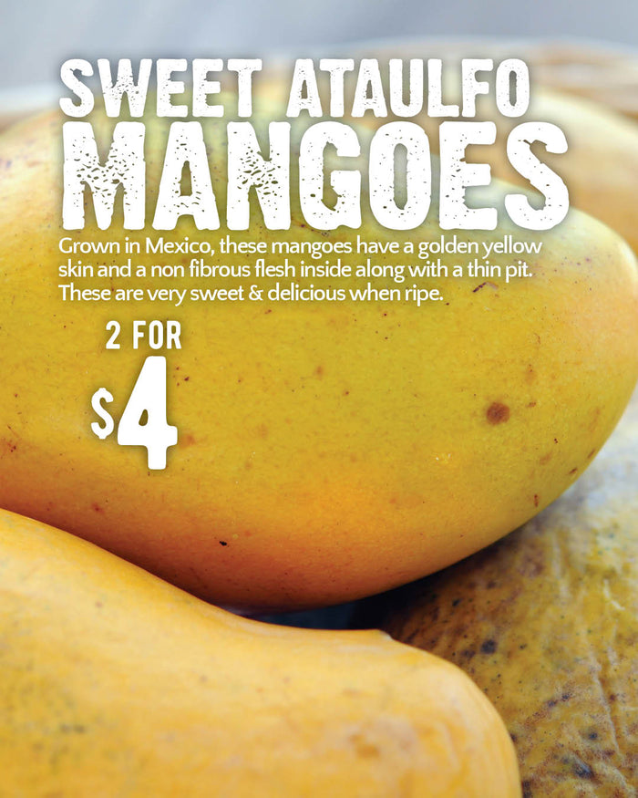 Flyer image Page 6