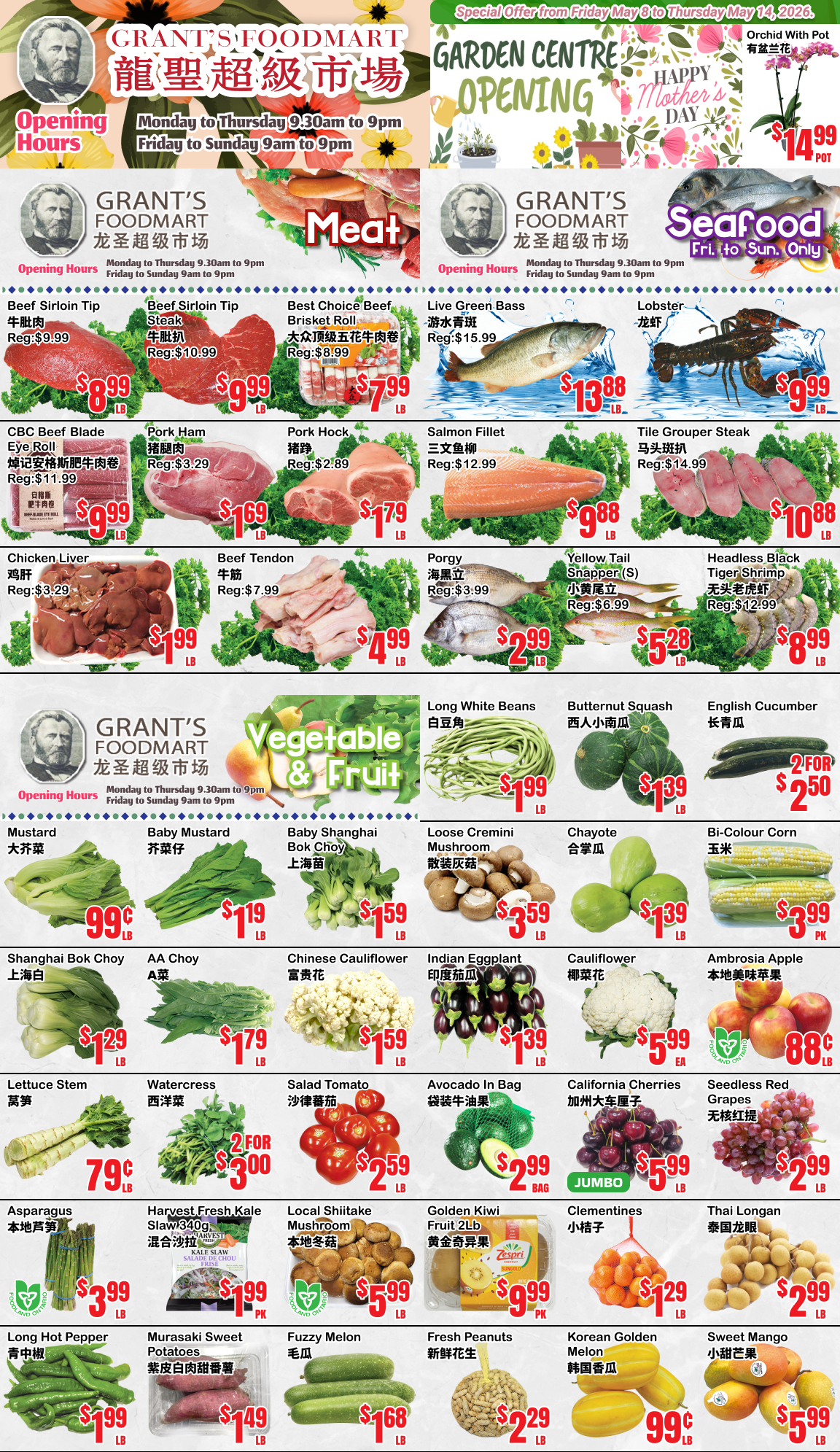 Flyer image Page 1