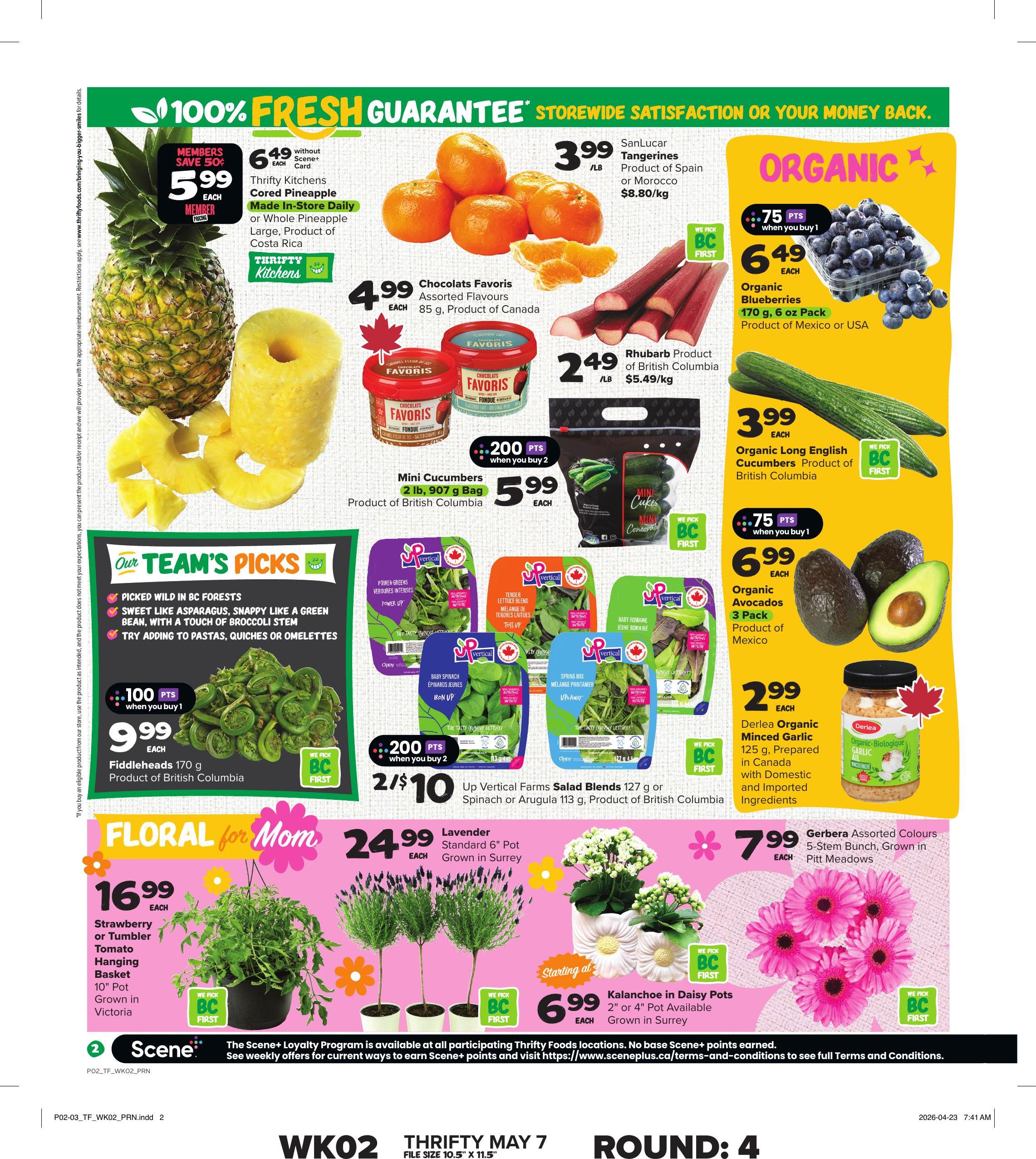 Flyer image Page 3