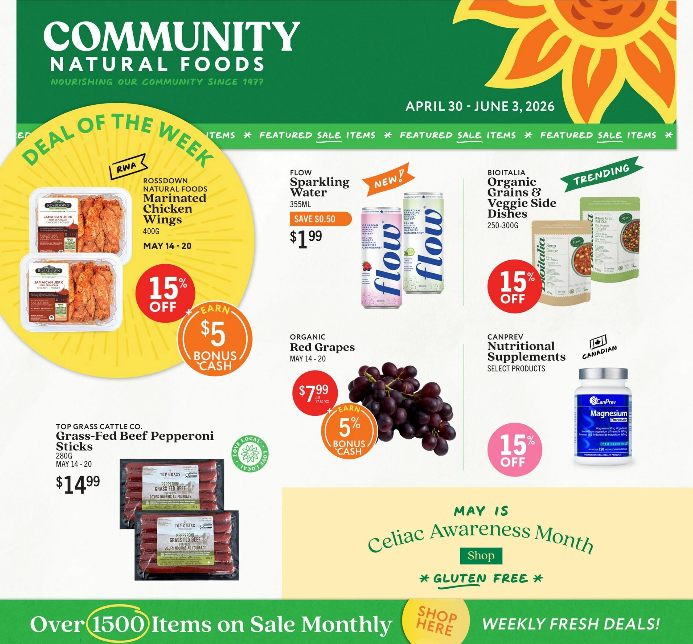 Flyer image Page 1