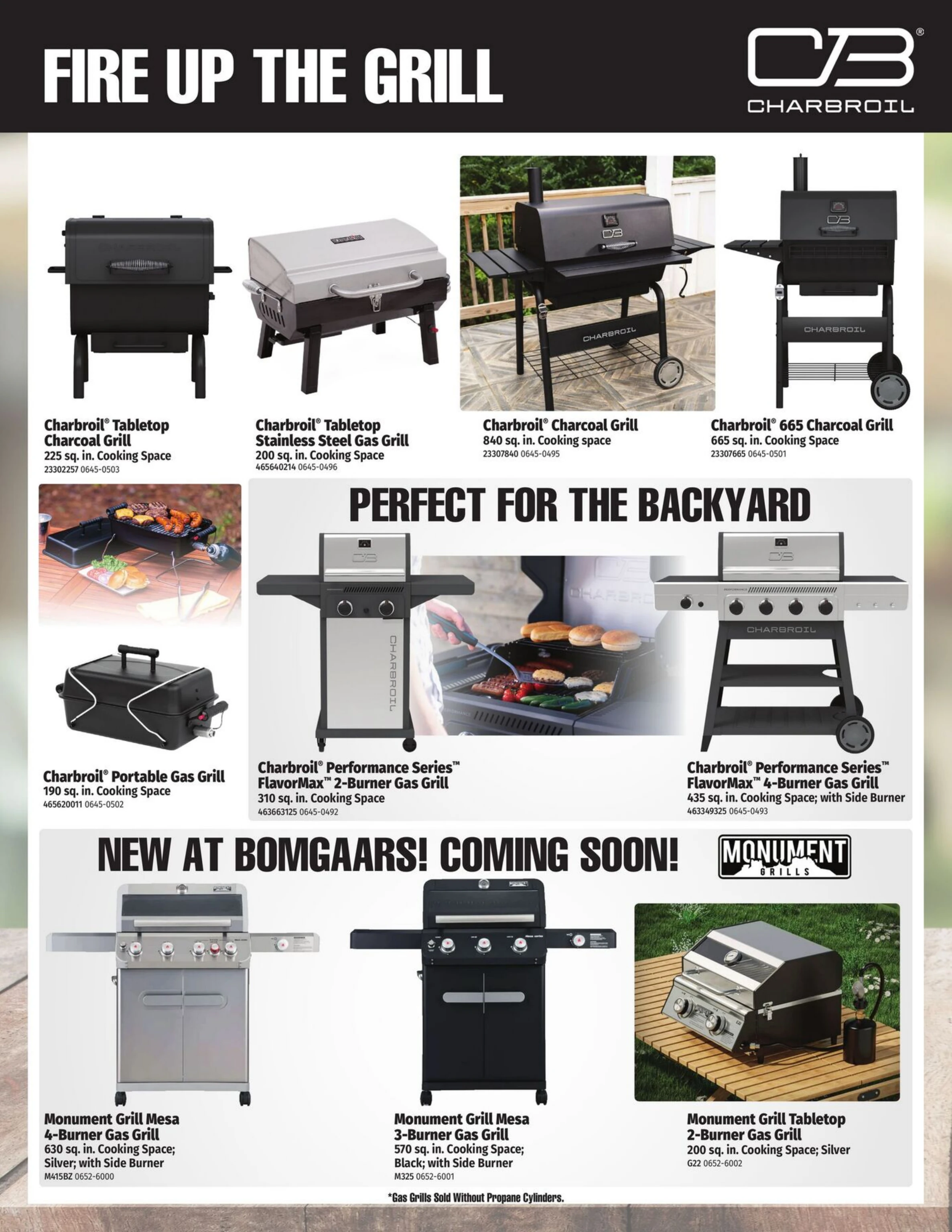 Flyer image Page 2