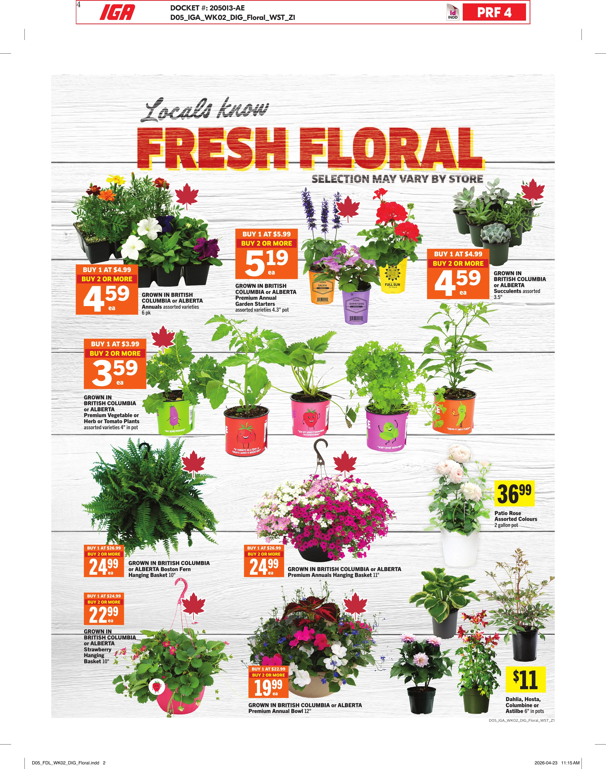 Flyer image Page 9