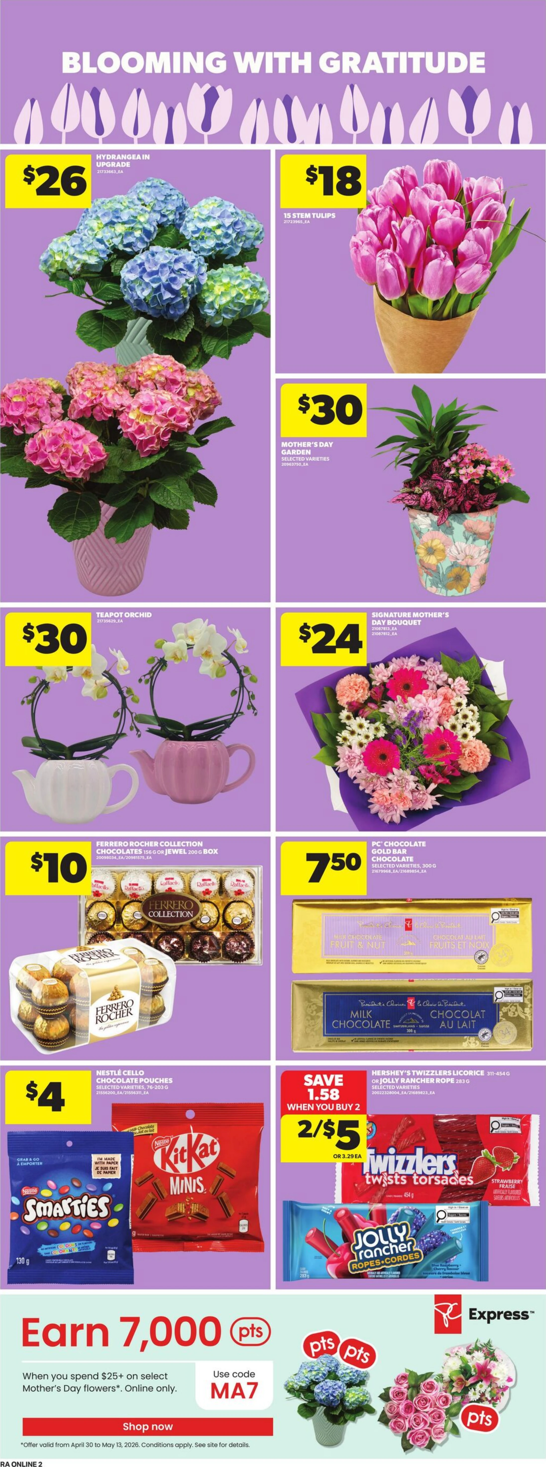 Flyer image Page 11