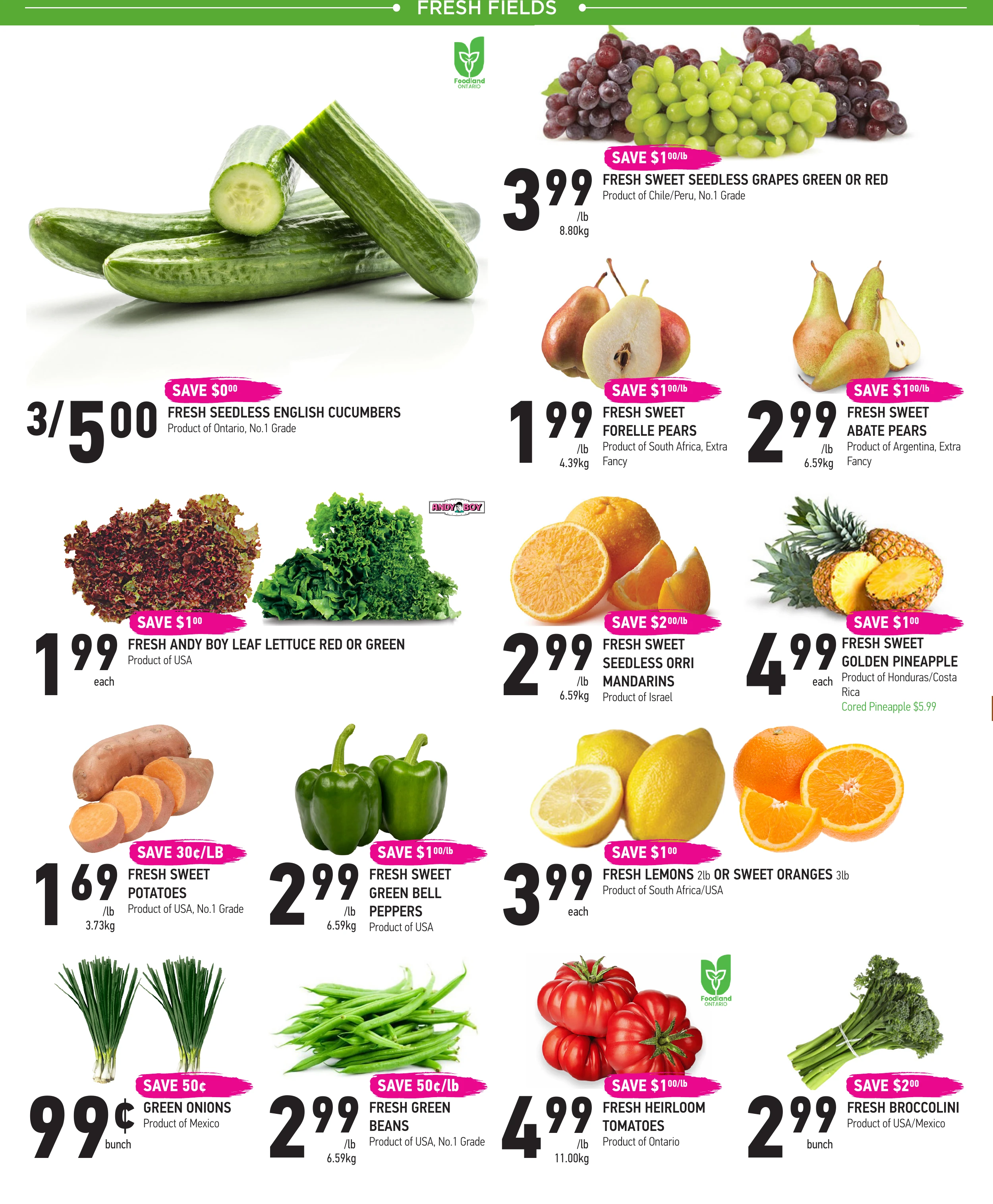 Flyer image Page 2