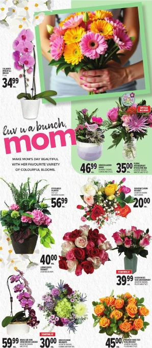 Flyer image Page 13