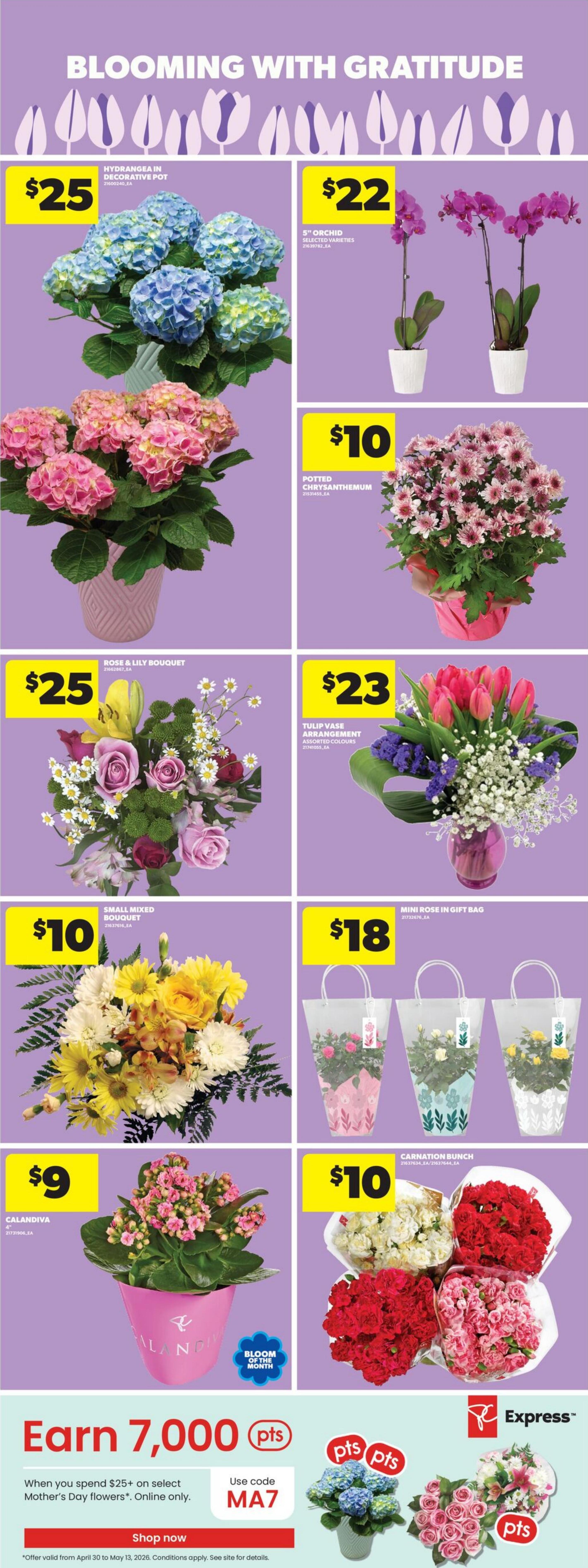 Flyer image Page 10