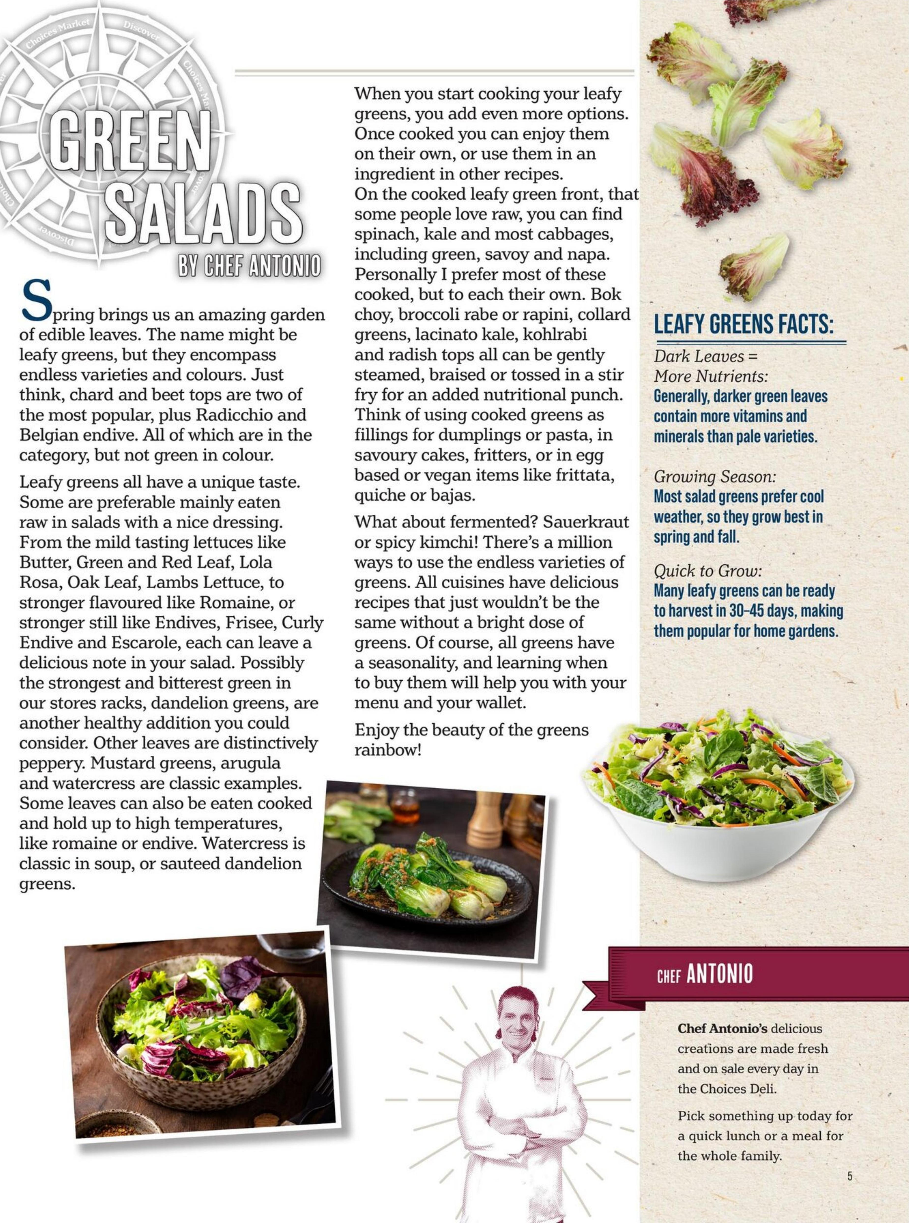 Flyer image Page 5