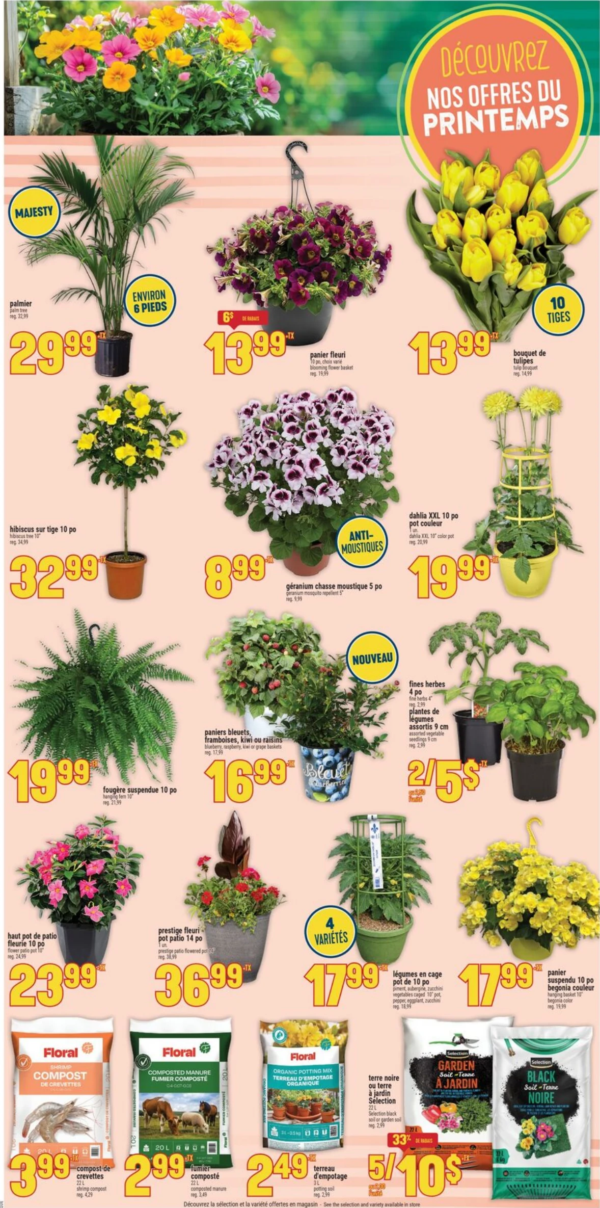 Flyer image Page 8