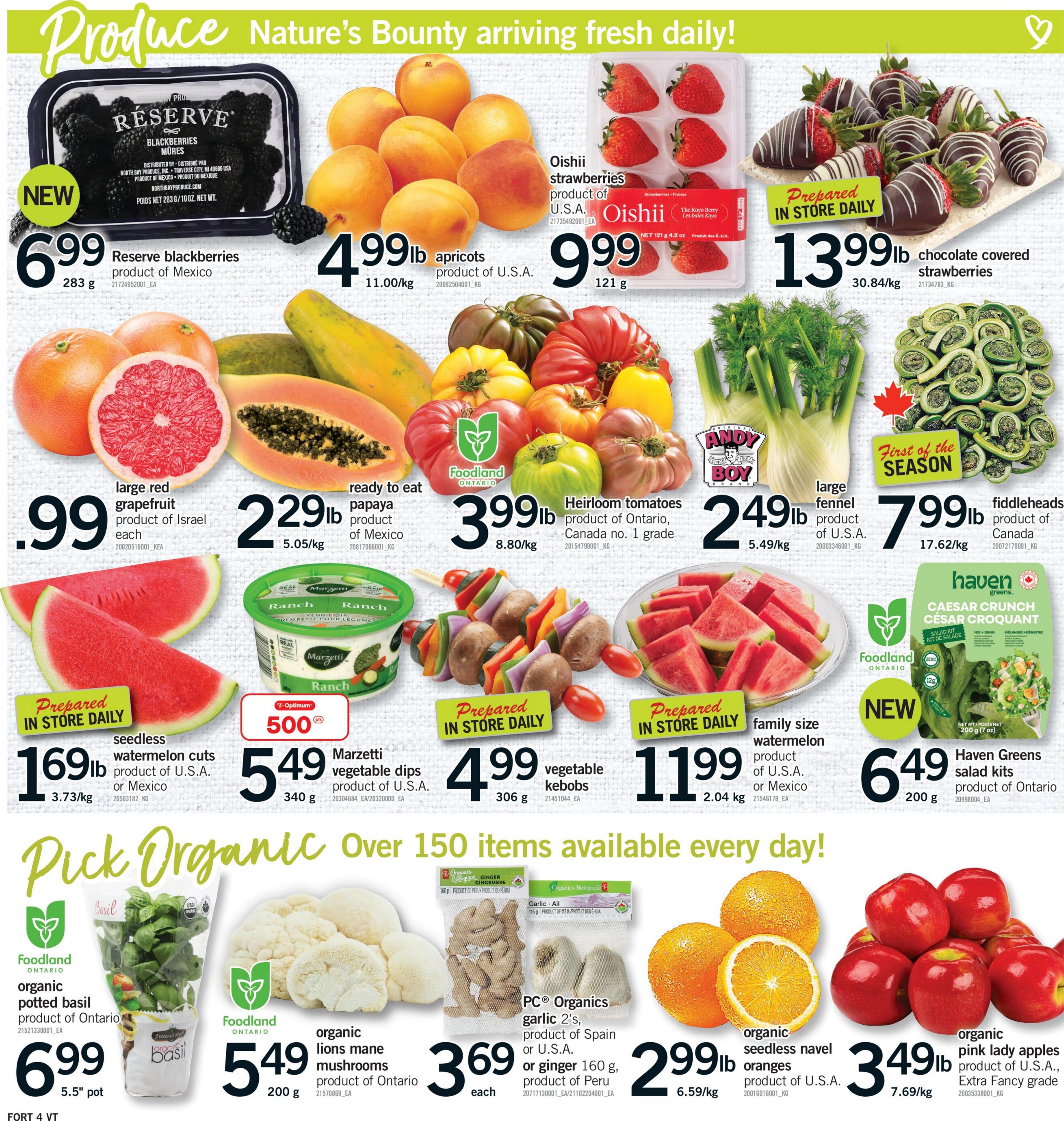 Flyer image Page 5