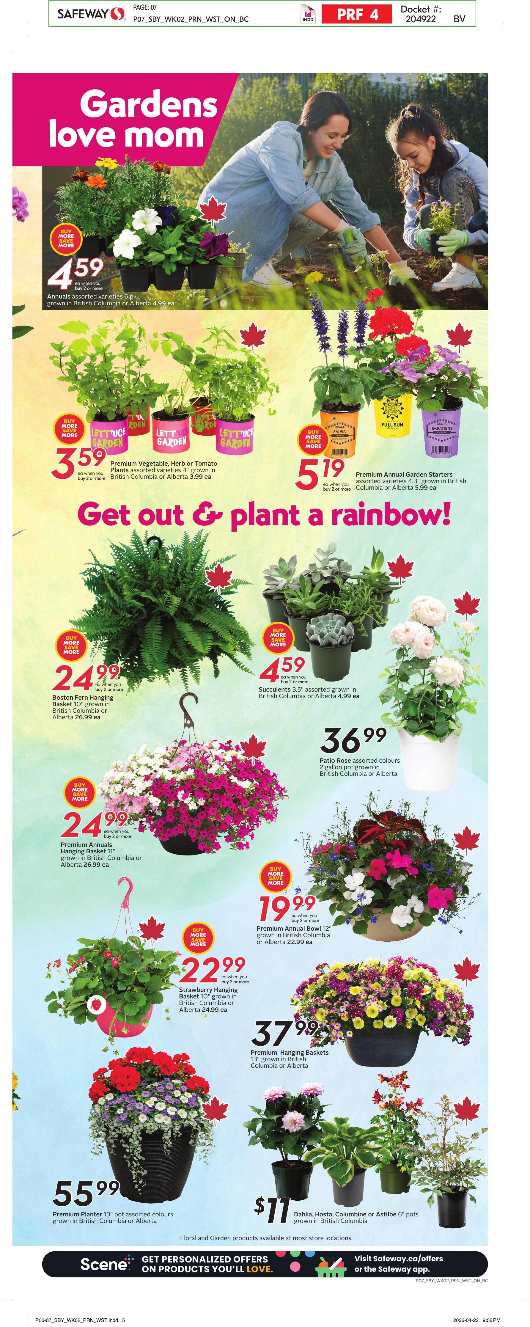 Flyer image Page 10