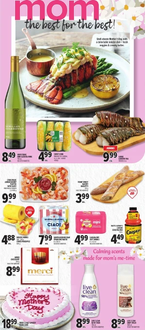 Flyer image Page 12