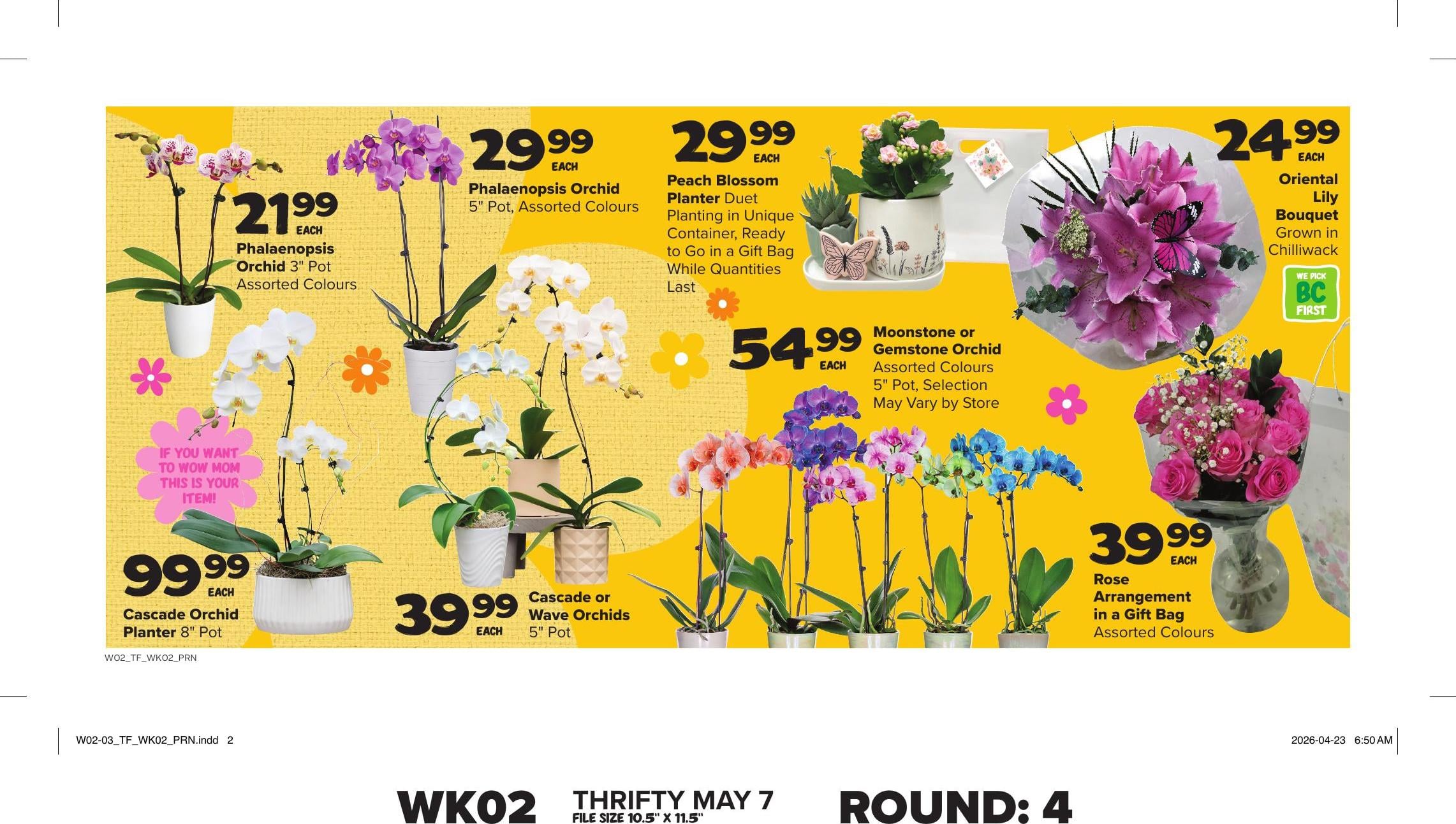 Flyer image Page 10