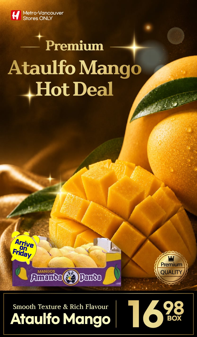 Flyer image Page 16