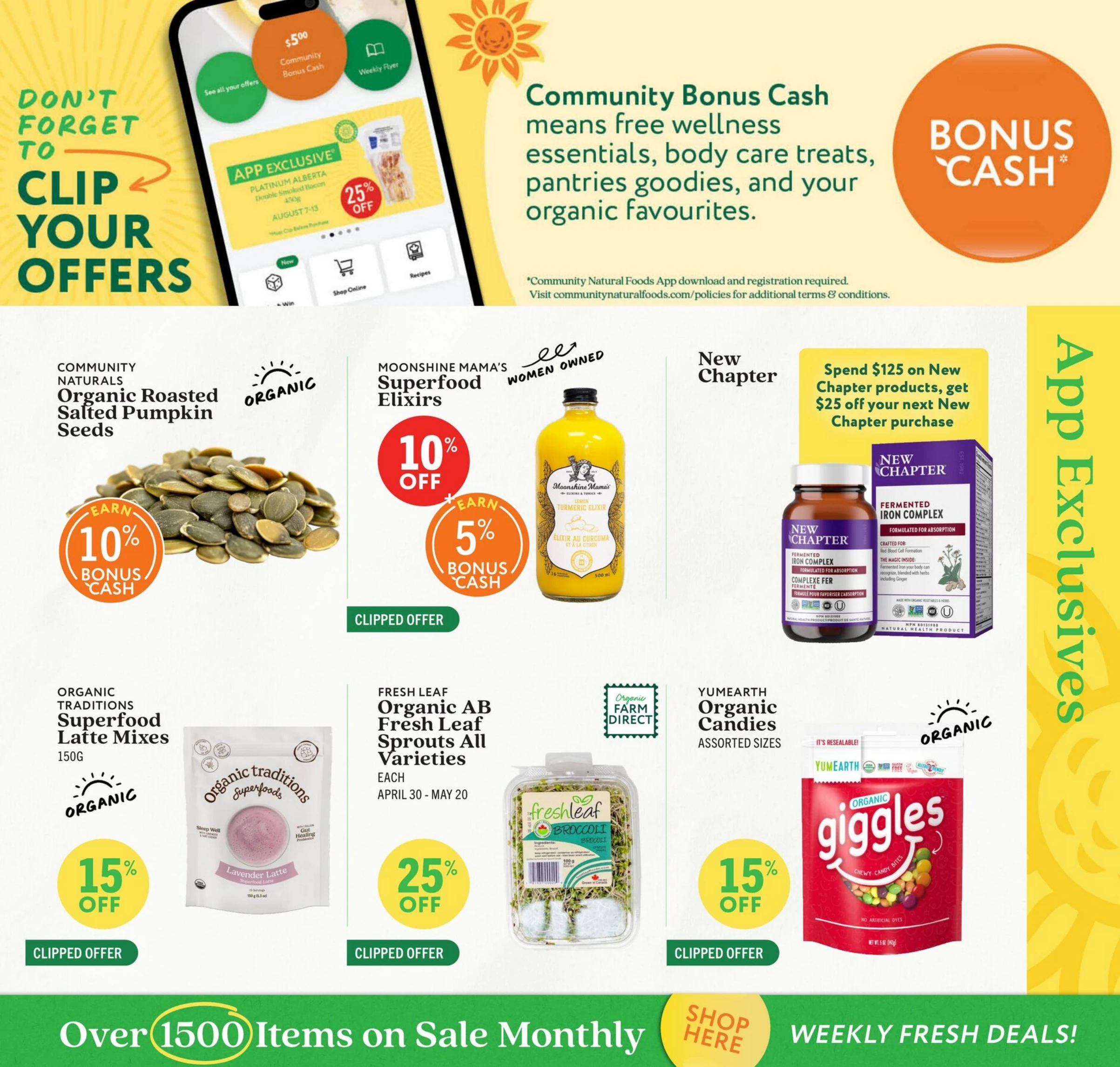 Flyer image Page 10