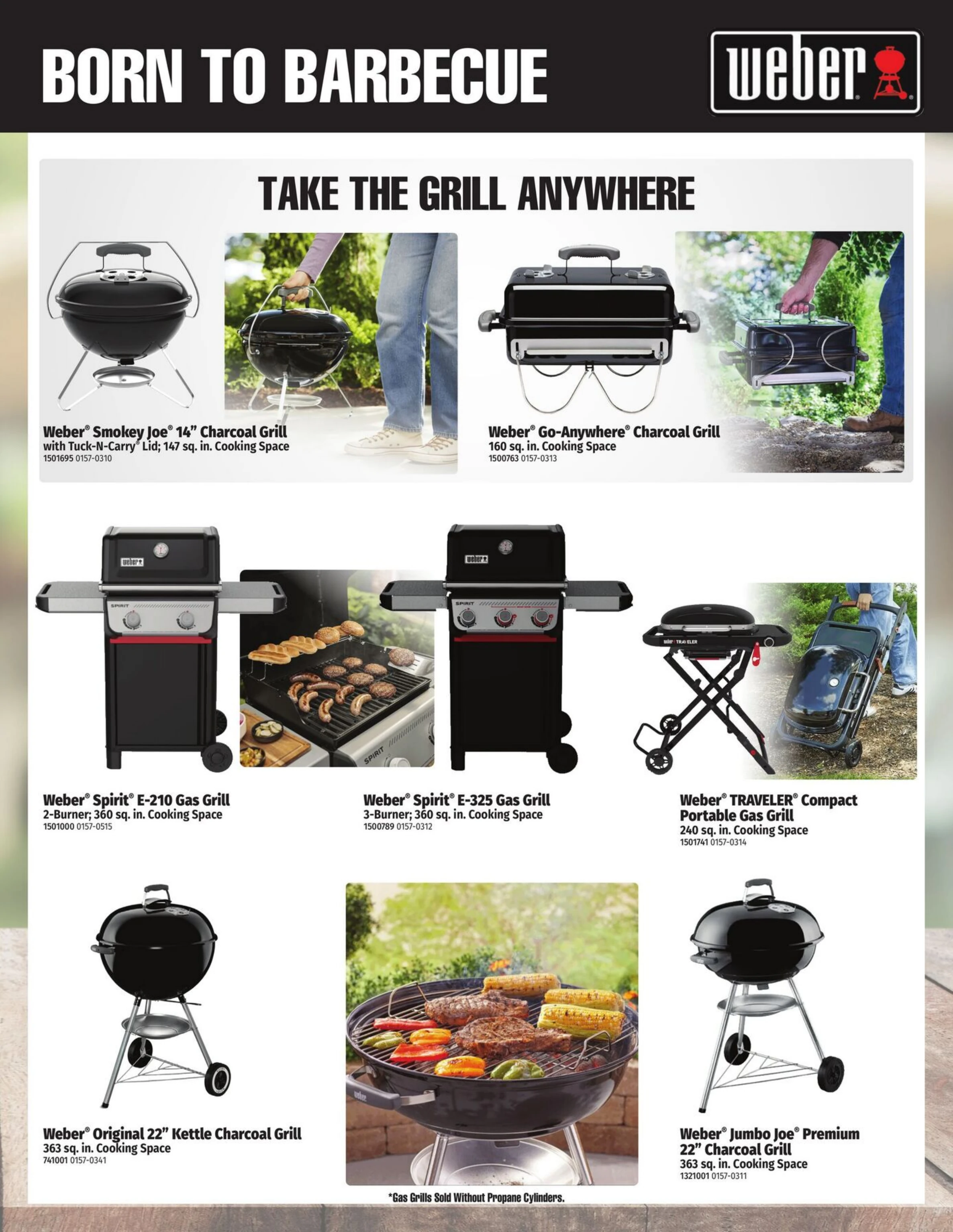 Flyer image Page 3