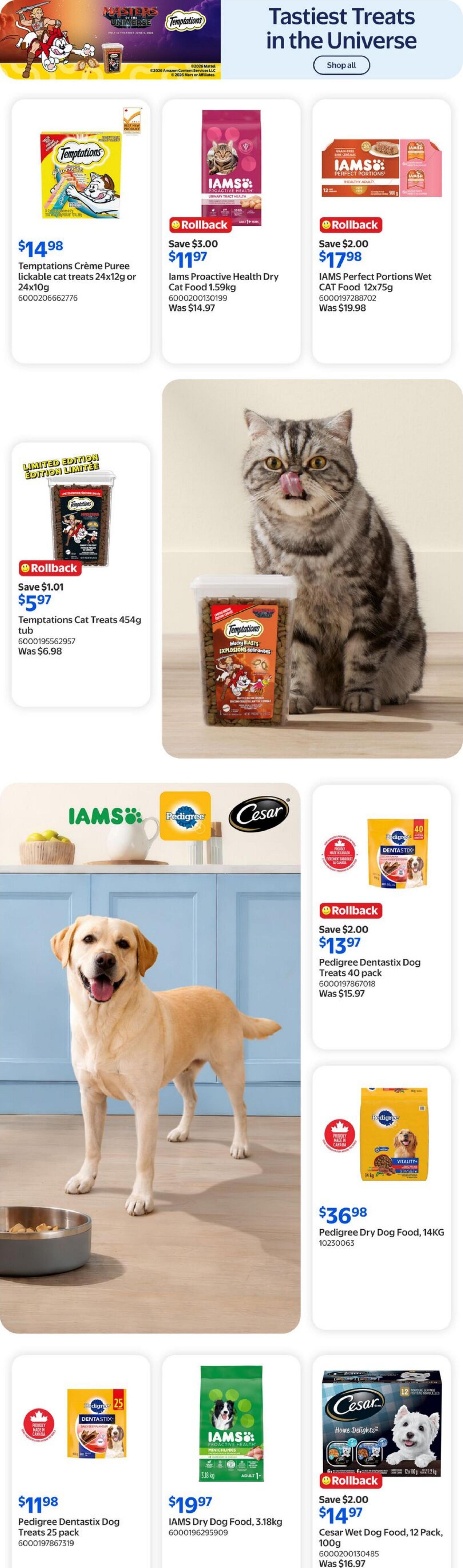 Flyer image Page 6