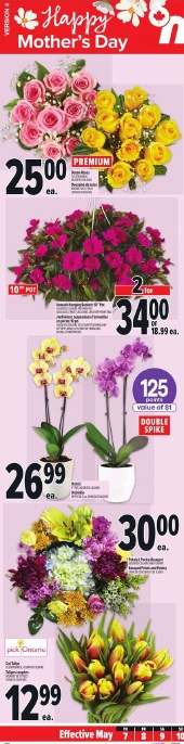 Flyer image Page 1