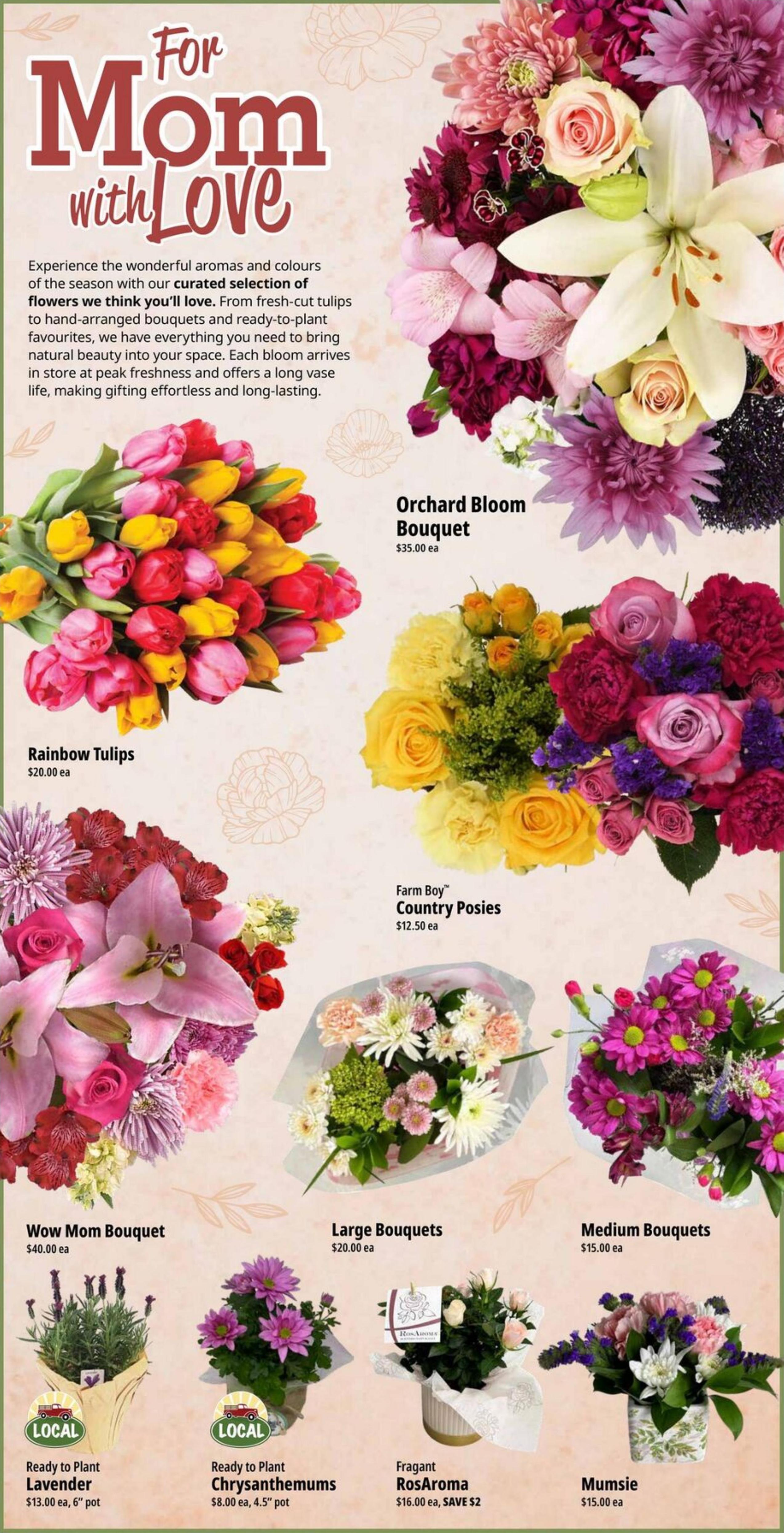 Flyer image Page 7