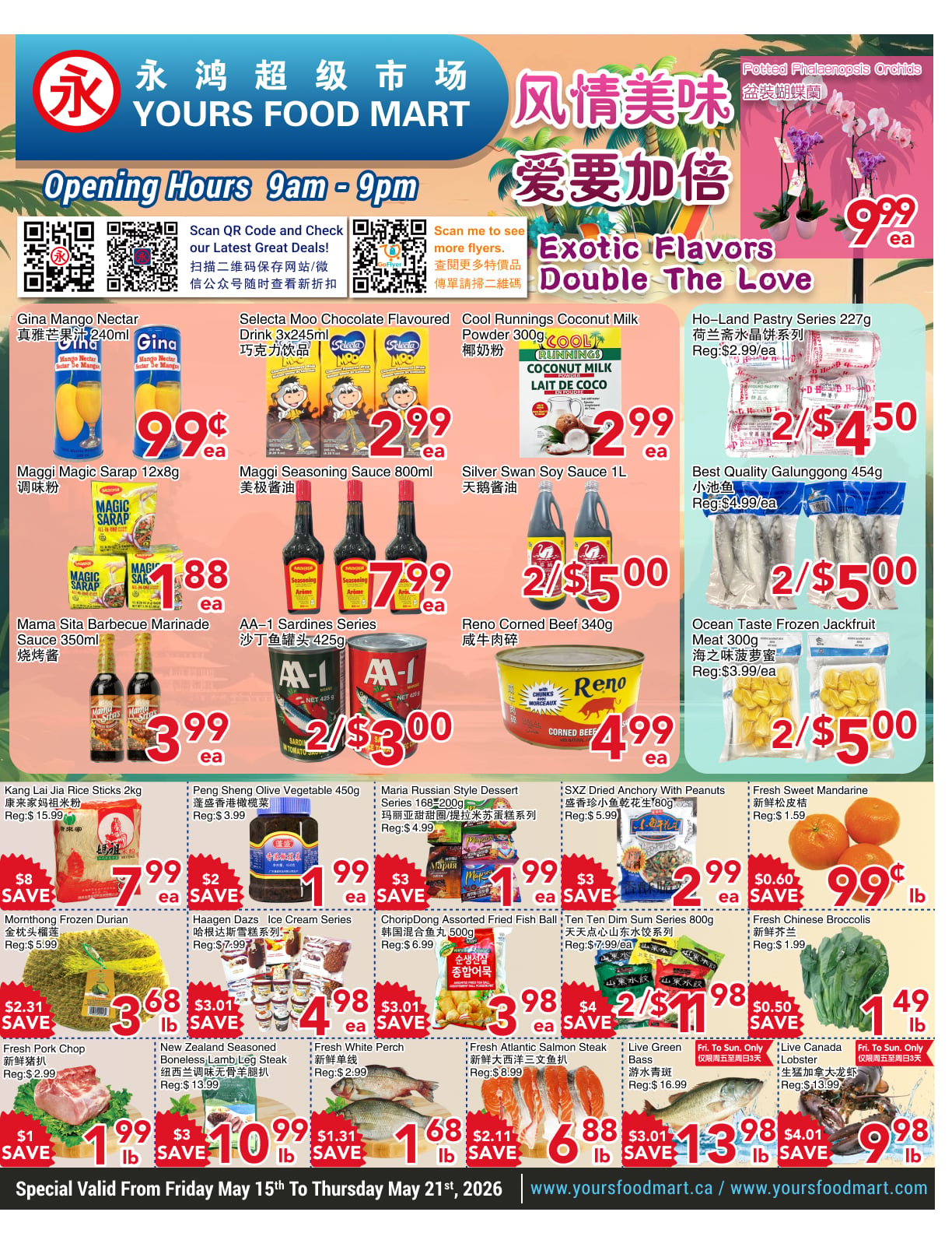 Flyer image Page 3