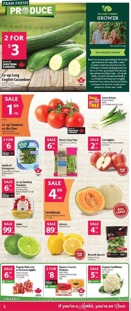 Flyer image Page 4