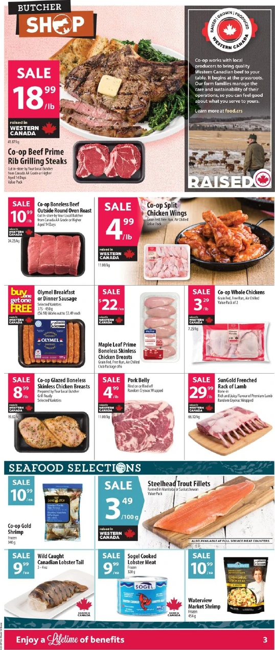 Flyer image Page 6