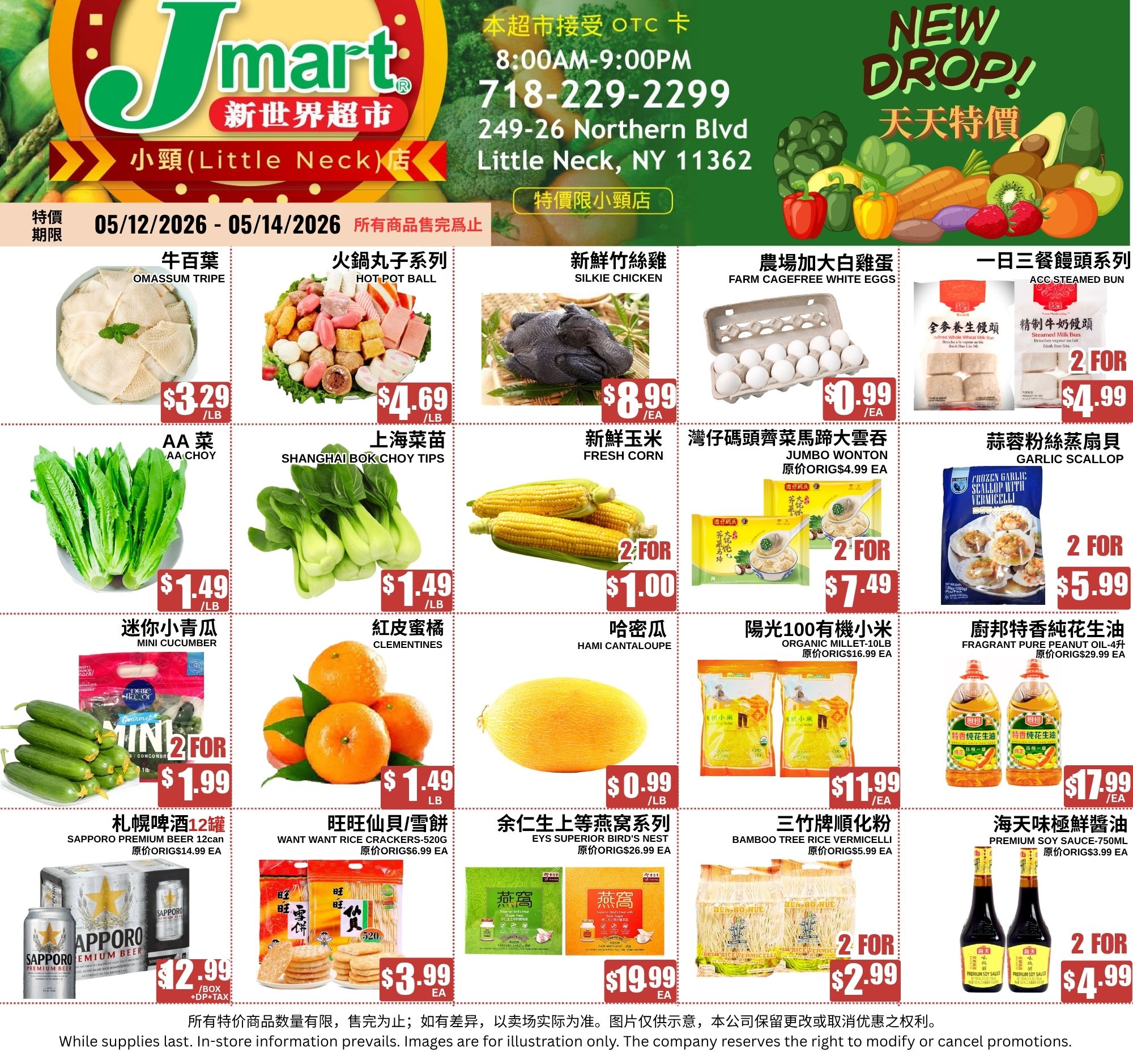 Flyer image Page 1