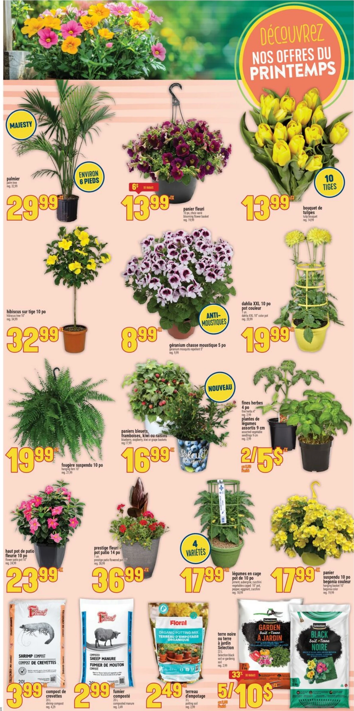 Flyer image Page 4