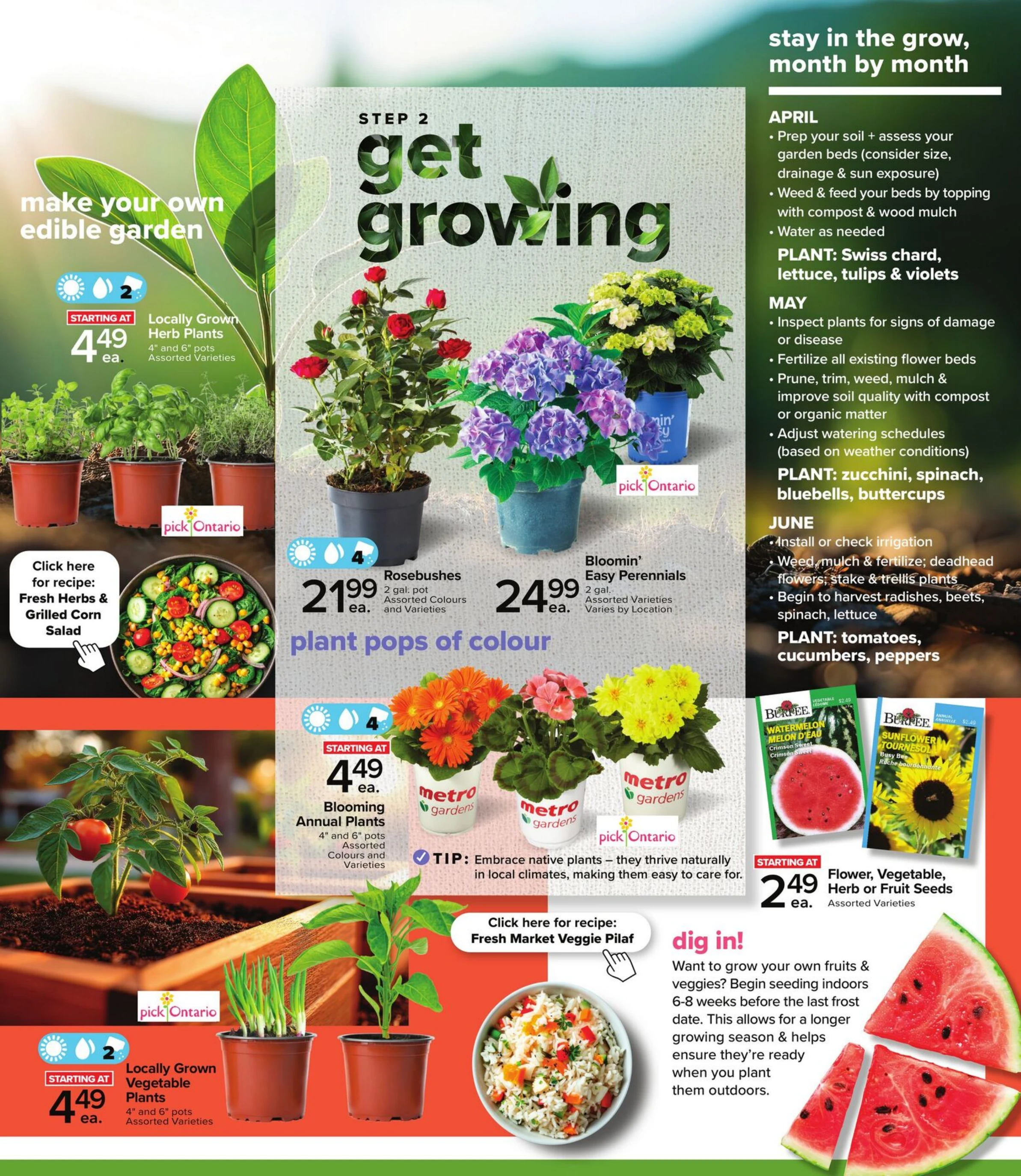 Flyer image Page 3