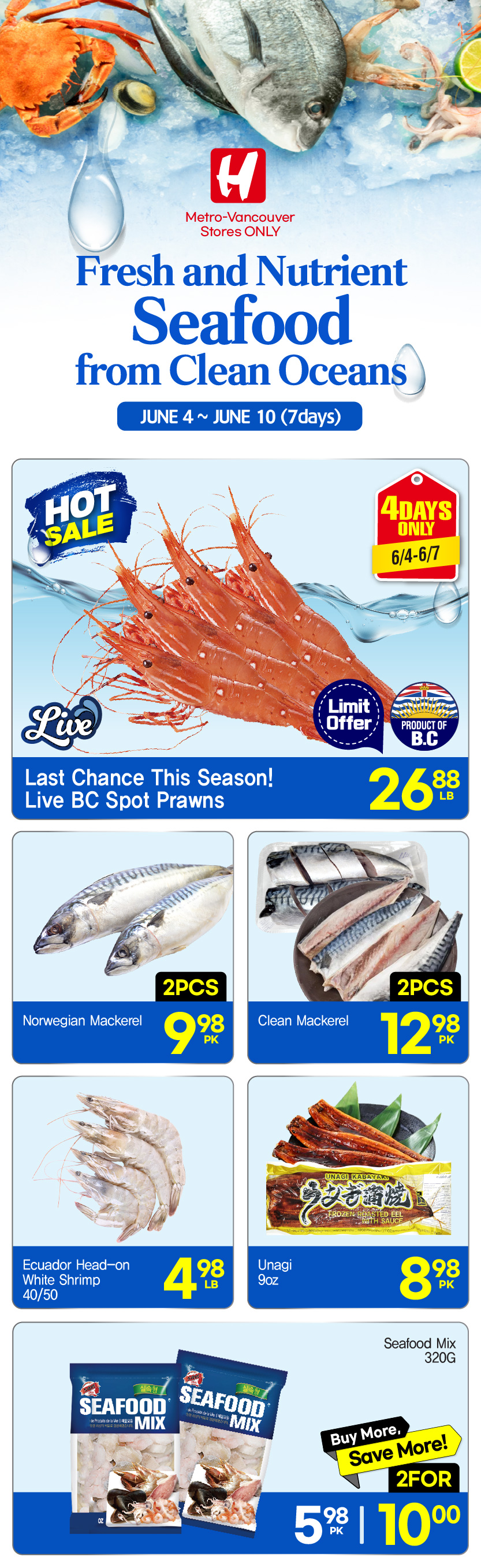 Flyer image Page 13