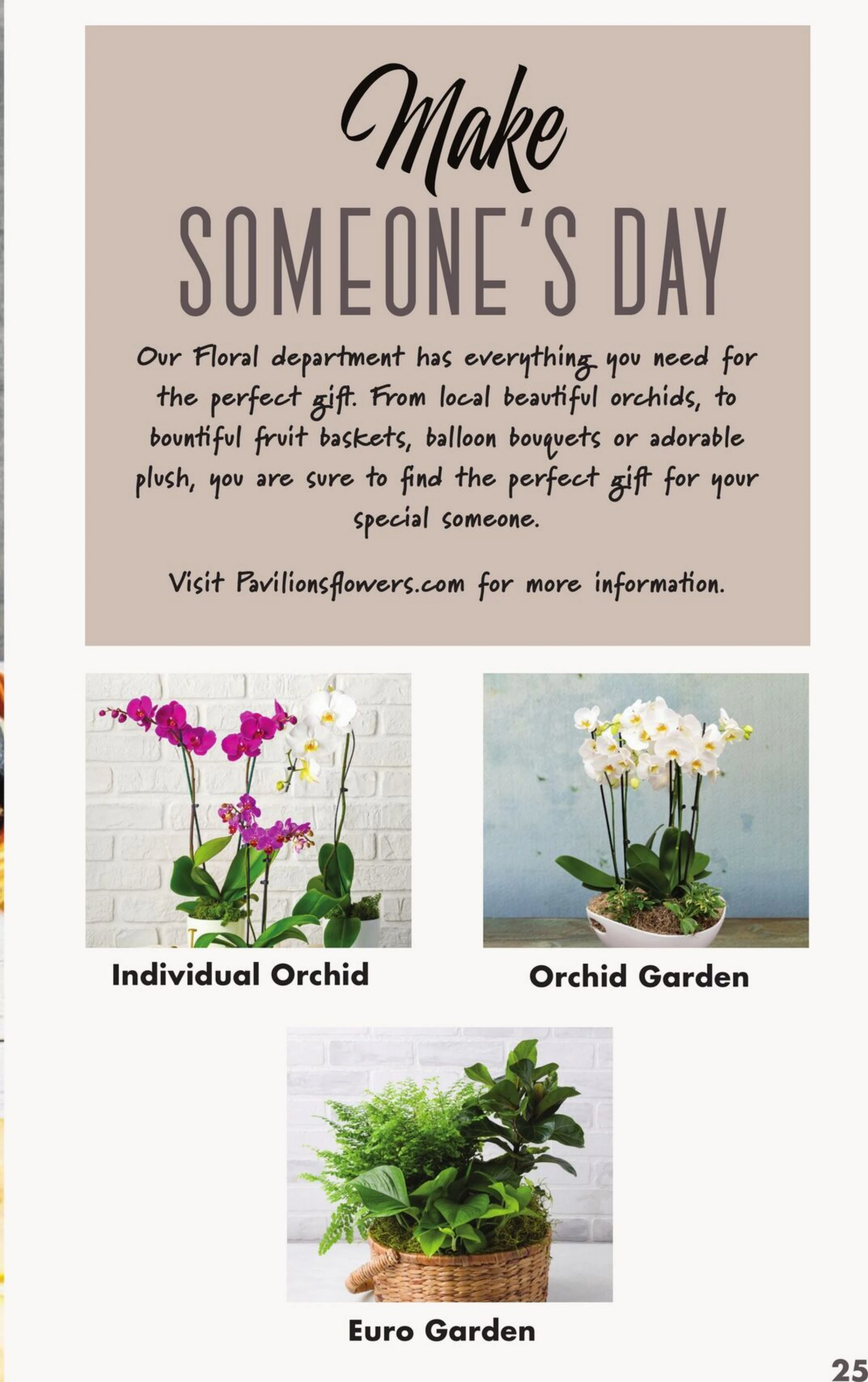 Flyer image Page 25