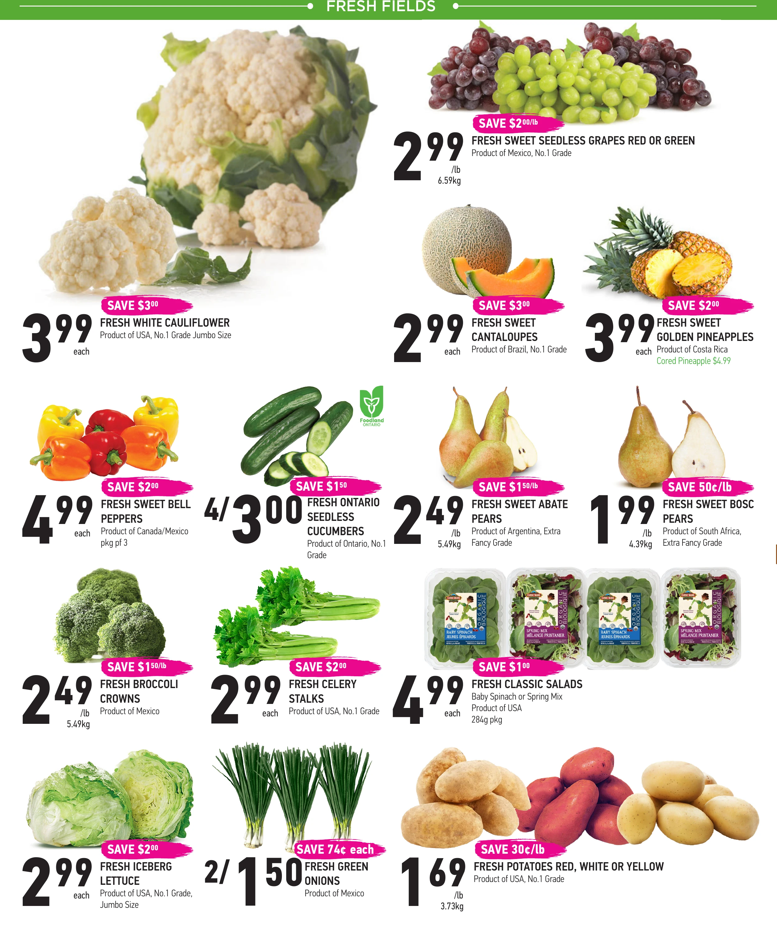 Flyer image Page 2