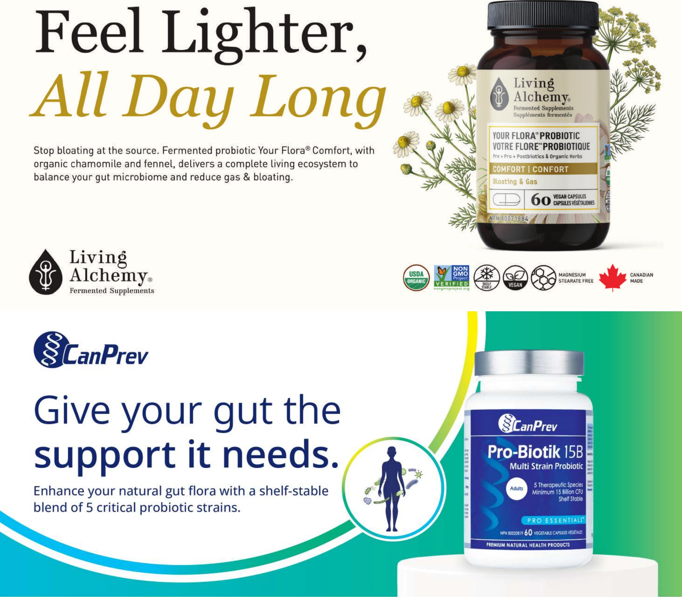 Flyer image Page 4