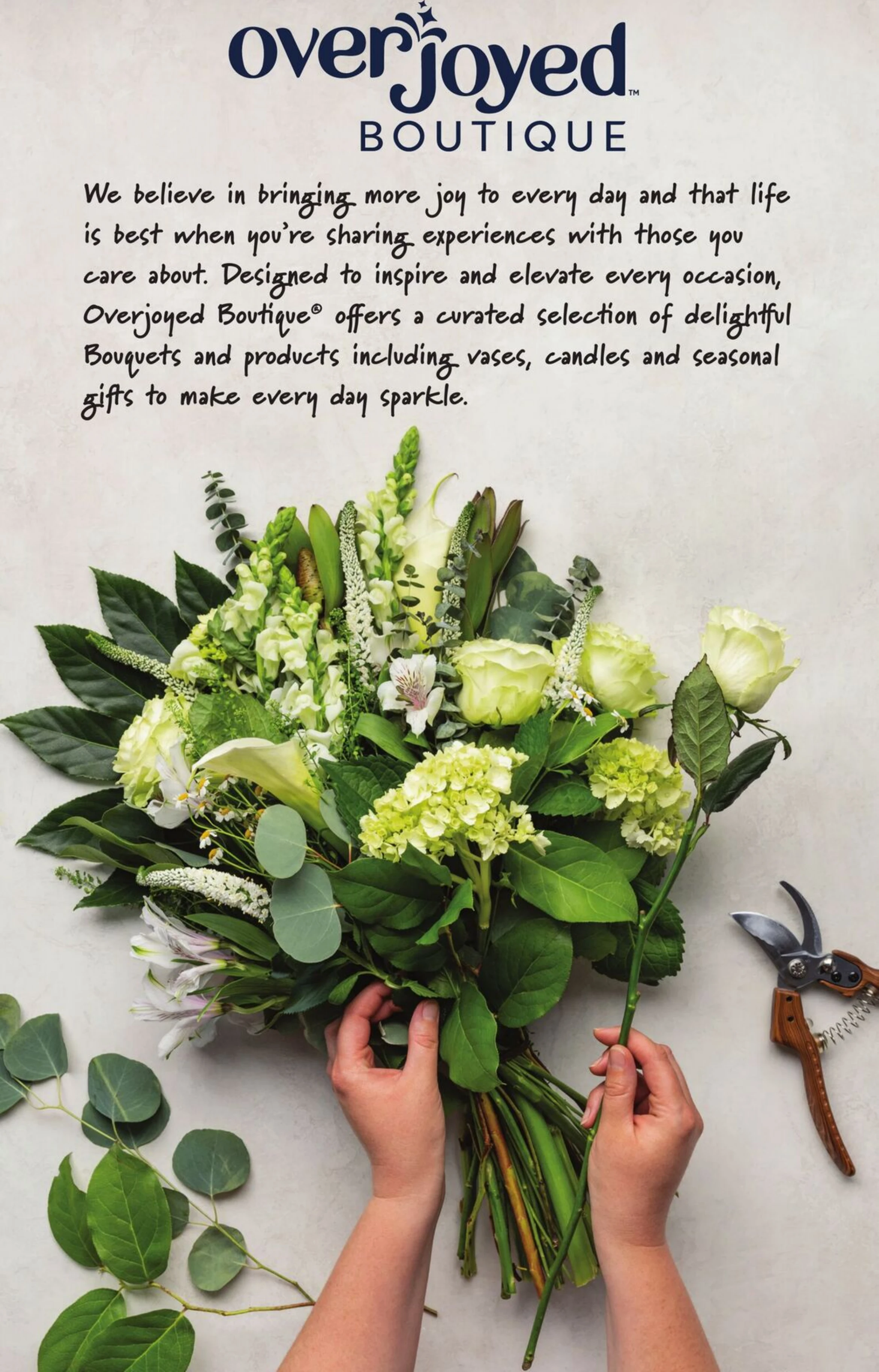 Flyer image Page 36