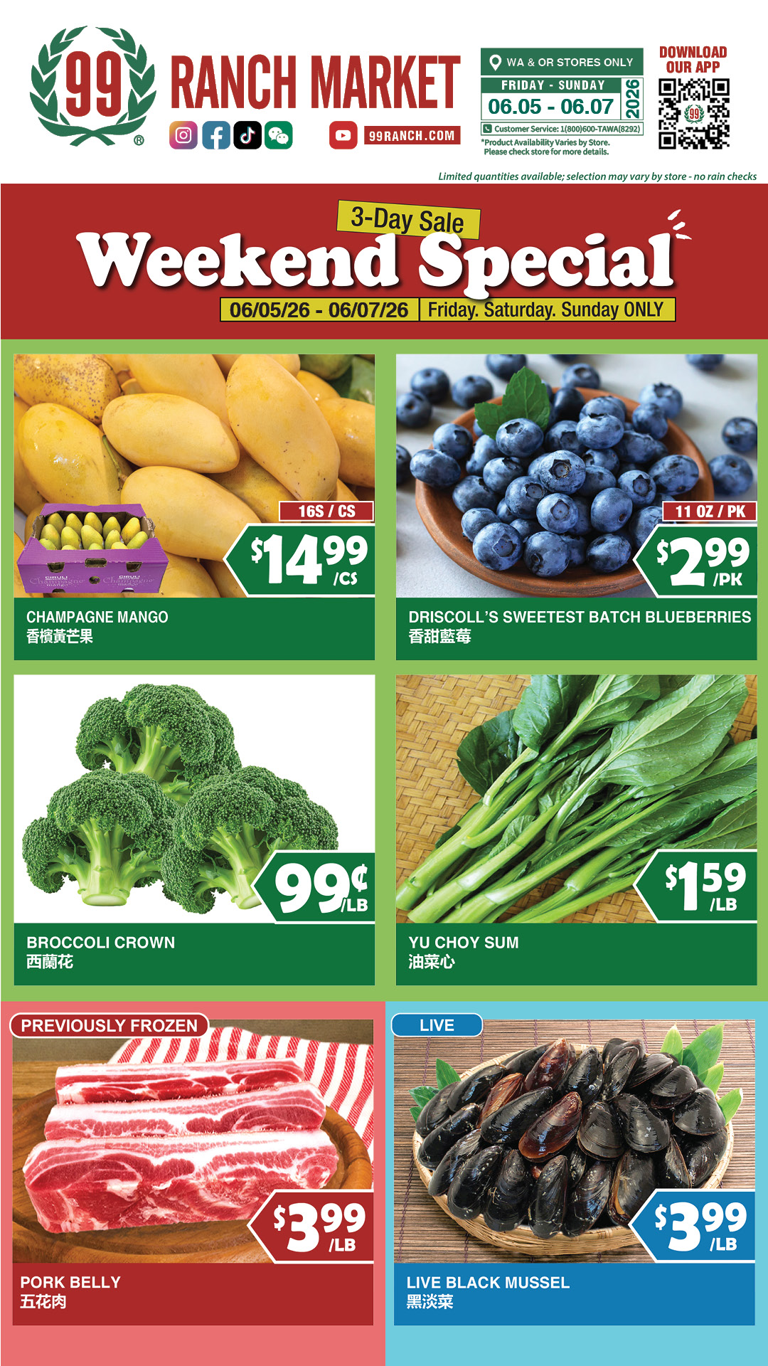 Flyer image Page 10