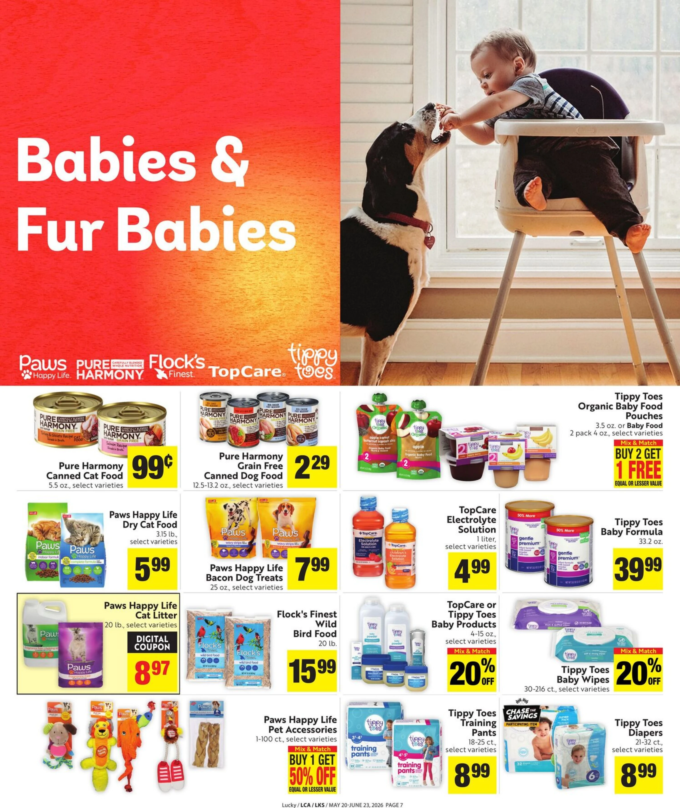 Flyer image Page 7
