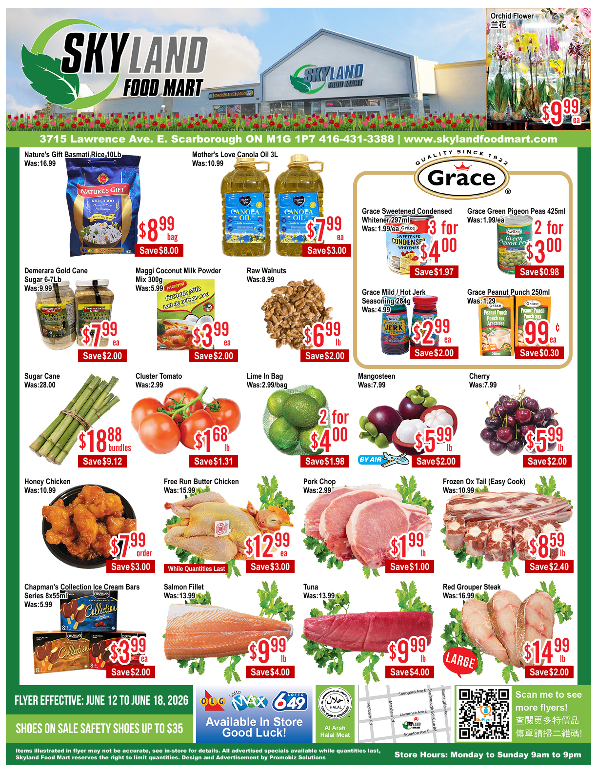 Flyer image Page 1