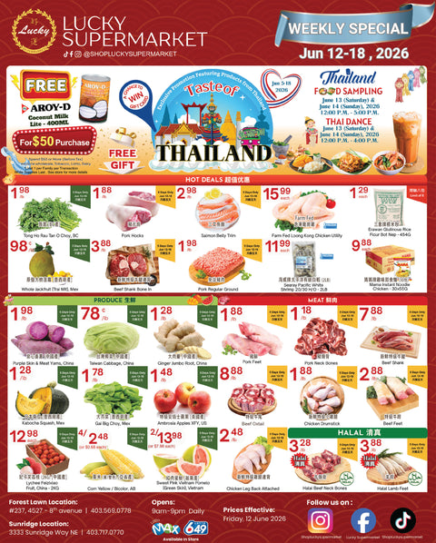 Flyer image Page 2