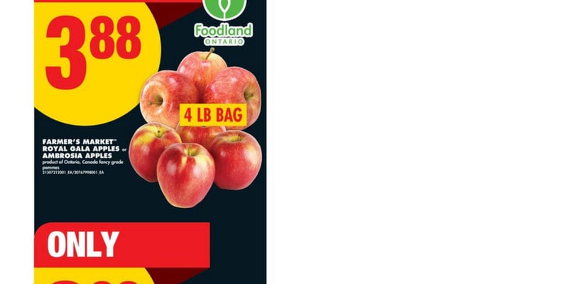 Flyer thumbnail image