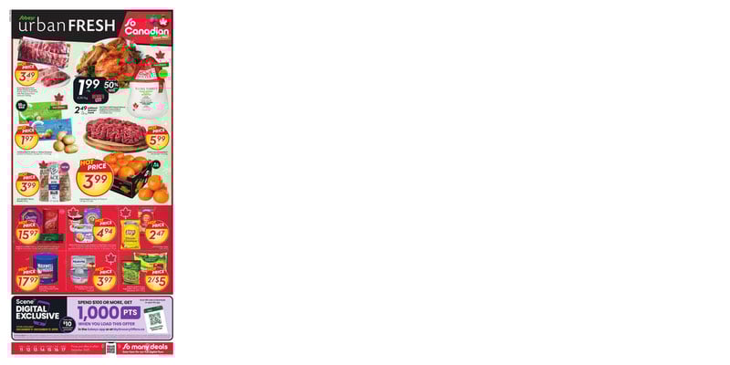 Flyer thumbnail image