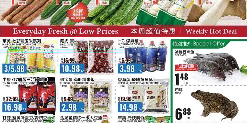 Flyer thumbnail image