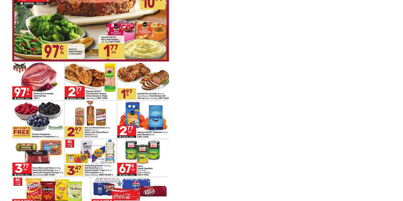 Flyer thumbnail image