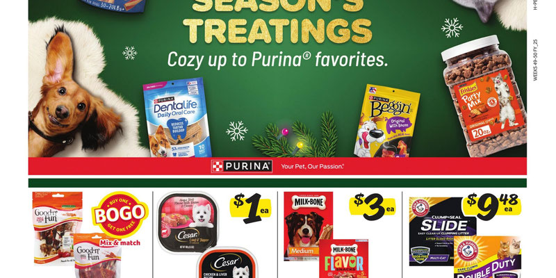 Flyer thumbnail image