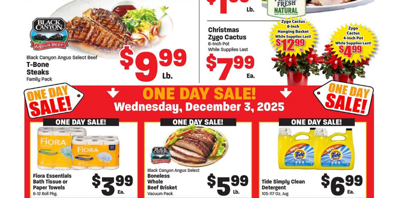 Flyer thumbnail image