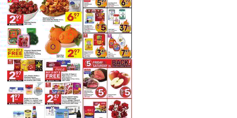 Flyer thumbnail image